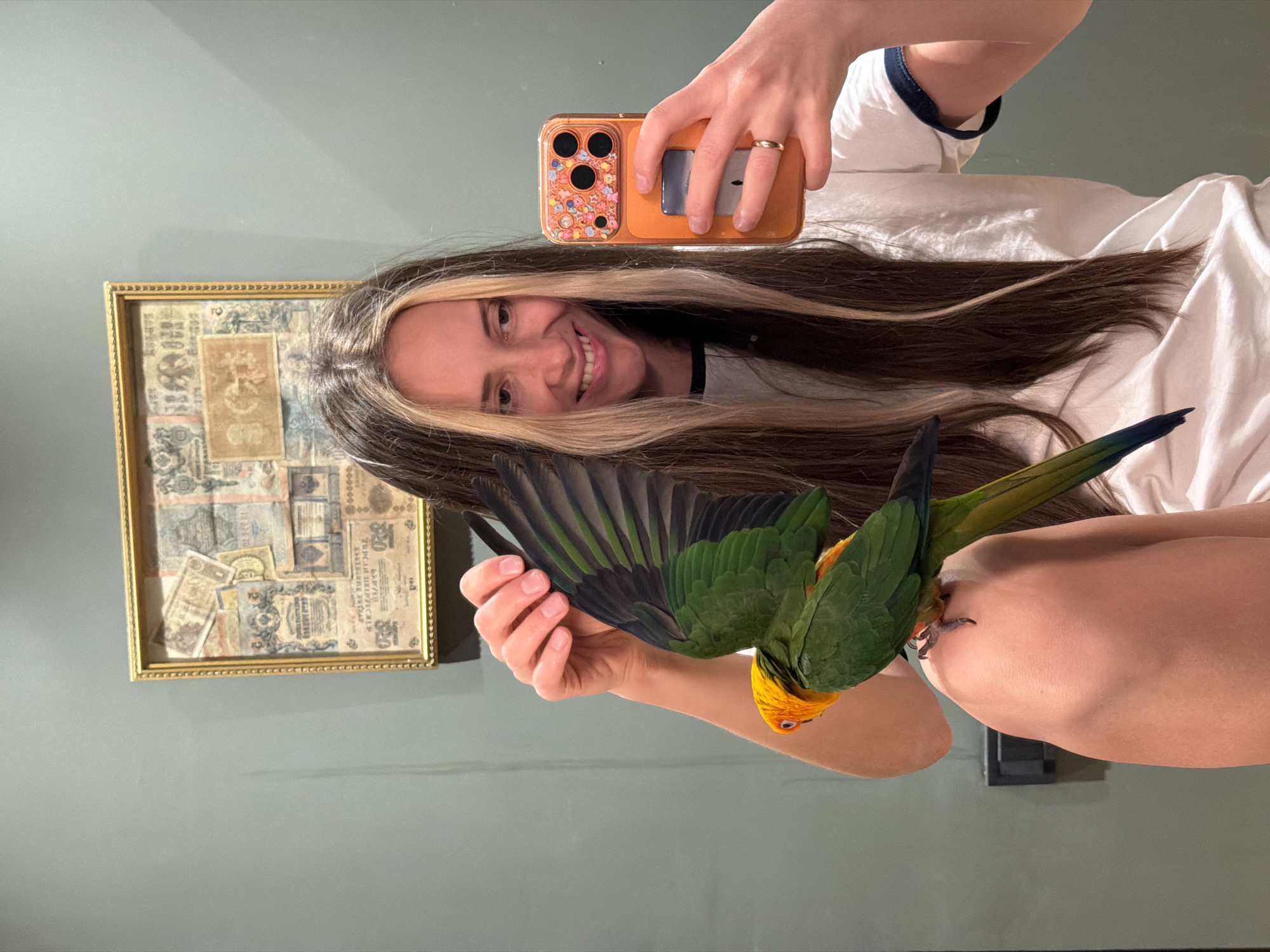 A woman is holding a phone in her left hand and taking a selfie with a green parrot perched on her right arm. The parrot has its wings partially extended. The woman is smiling and has long brown hair with blonde highlights framing her face. She is wearing a white t-shirt with dark trim around the neckline. In the background, there is a framed picture on the wall consisting of antique money. The wall is a muted green color. A dark rectangle, possibly an outlet, can be seen near the woman's arm.