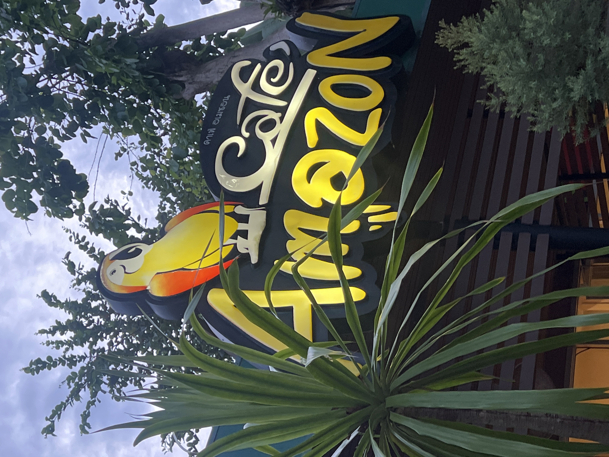 A sign for "Cafe Amazon" in Unknown, Unknown, is partially obscured by foliage. The sign, predominantly black with bright yellow lettering, features a toucan logo on the left side. Green leafy trees are visible in the background against a cloudy sky, while spiky green plants dominate the foreground, partially blocking the sign. The edge of a building with vertical slats is partially visible on the right.