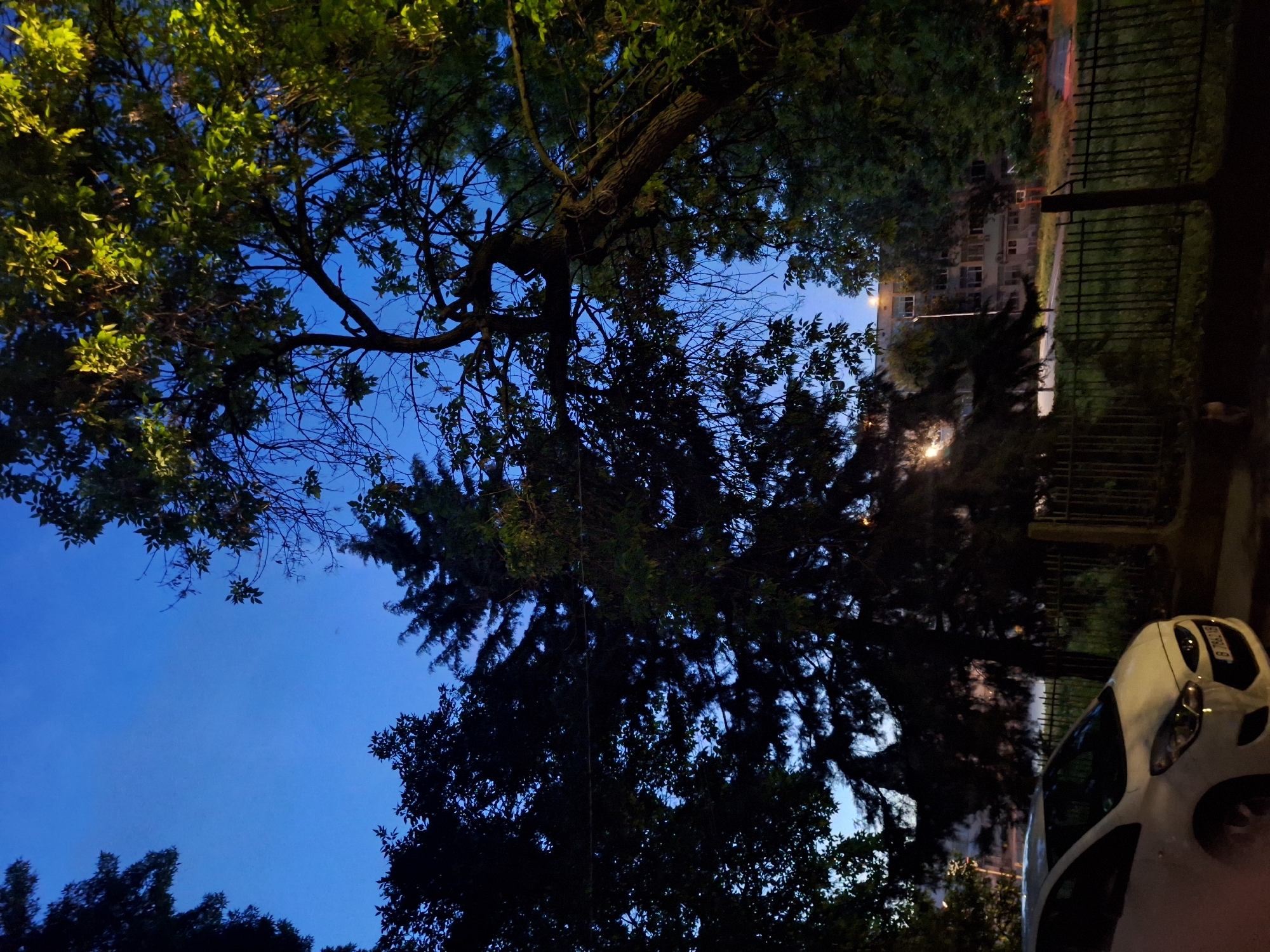 A white car is parked on a street at dusk, in front of a black metal fence. Beyond the fence, grass and trees are visible. In the background, a multi-story building stands illuminated by streetlights. The sky is a deep blue, indicating the transition from day to night. The overall scene suggests a quiet urban environment during the evening hours.