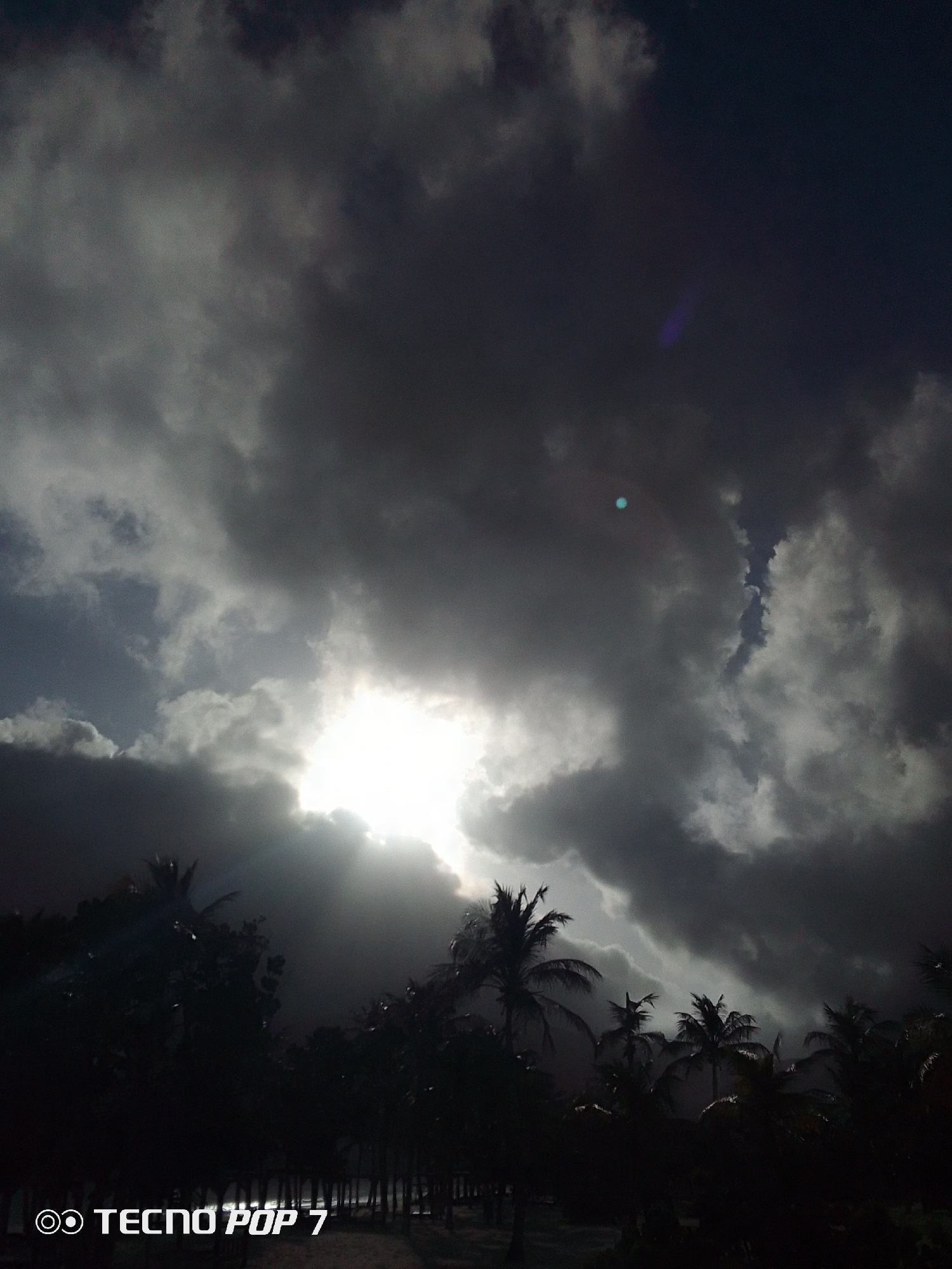 The image shows a dramatic sky with dark, ominous clouds partially obscuring a bright sun. The silhouette of a dense tropical forest with many palm trees occupies the lower portion of the frame. A beach is faintly visible in the foreground, near the bottom center. A purple flare and a bluish spot are also visible in the sky. The TECNO POP 7 watermark appears in the lower left corner. The location is Pedro González, Venezuela, based on the prompt.