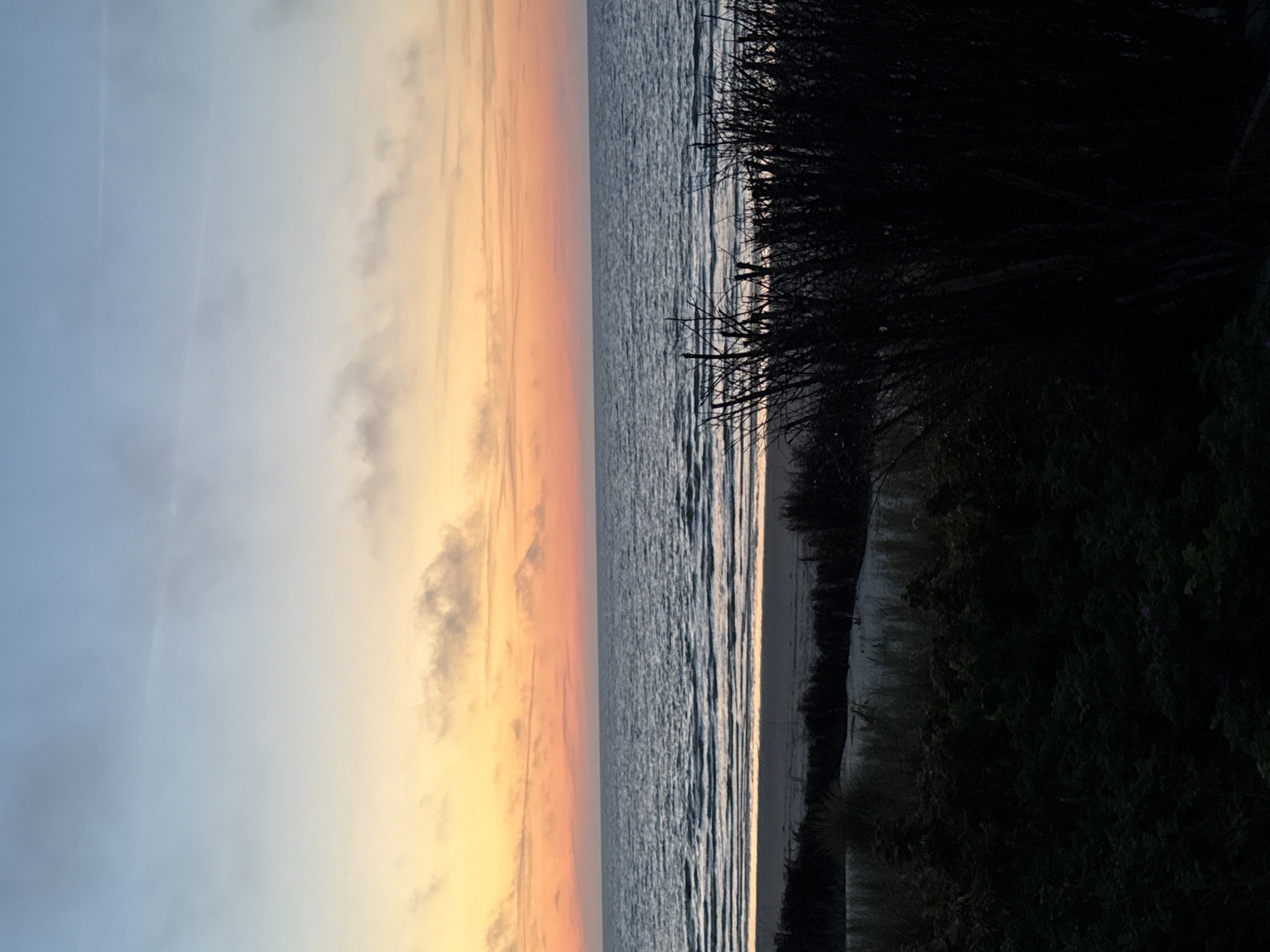 This is a vertical, full-shot, eye-level photograph of a sunset at the beach on the island of Langeoog, Germany. The sky transitions from a light blue at the top to an orange and yellow gradient near the horizon. Wispy clouds are scattered across the sky. The ocean, with gentle waves, occupies the middle section of the image, reflecting the colors of the sunset. The foreground is dominated by dark, silhouetted vegetation, including tall, dry grasses and denser bushes. A sandy beach is visible between the vegetation and the water. There are no people or animals present.