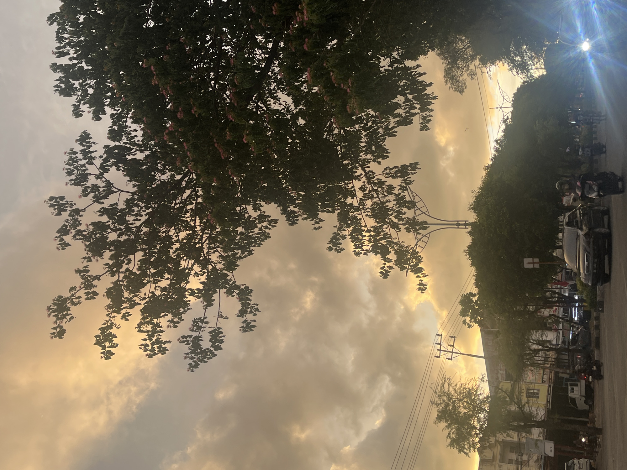The image captures a street scene in Banda Aceh, Indonesia, during what appears to be sunset or a cloudy, overcast day with warm lighting. A large tree with dark green foliage and small pinkish flowers dominates the right and upper portions of the frame, partially obscuring the sky. The sky itself is a mix of cloudy formations illuminated with a yellowish-orange hue, suggesting the sun is low on the horizon or behind the clouds.
In the background, several buildings, some with visible storefronts, line the street. Power lines and poles are also present, indicating an urban environment. The street is populated with various vehicles, including a black car in the foreground on the right, its headlights on and emitting a bright glare. A black sedan is seen in the middle of the street, and several motorcycles are also present, with at least two riders visible. People can be seen on the sidewalks and in or near the vehicles. The overall atmosphere is that of a typical street scene in a city, with the natural beauty of the sky and the tree adding a scenic element to the urban landscape. The lighting creates a somewhat muted but warm tone across the entire image.