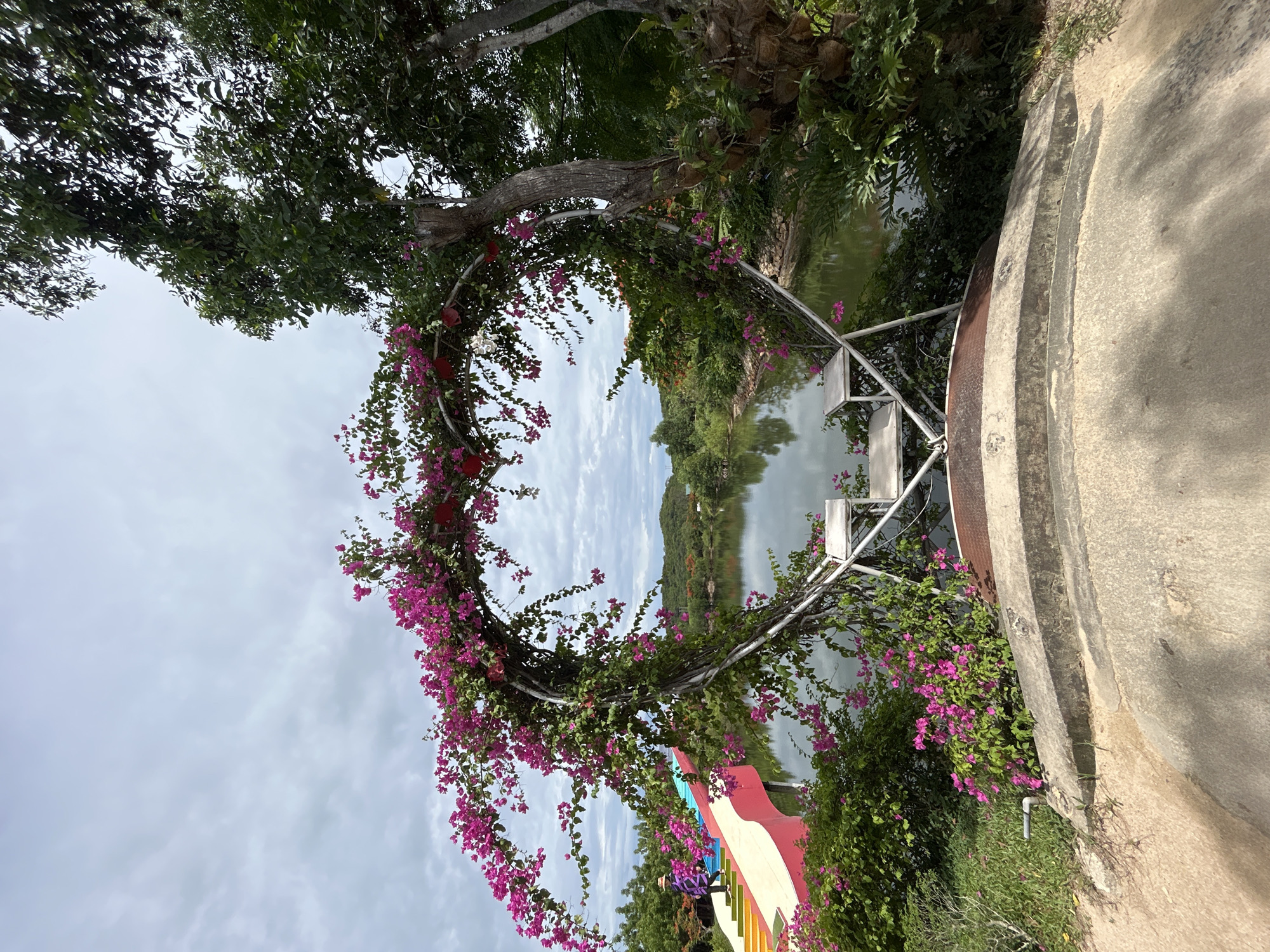 The image shows a large heart-shaped archway adorned with vibrant pink bougainvillea flowers, set against a backdrop of a serene lake and lush greenery. The archway is constructed from white metal and has two small white benches integrated into its lower section. To the left of the arch, a colorful rainbow-themed slide is visible, and a person wearing a purple jacket and a hat is walking down it. The scene is outdoors, under a cloudy sky, with trees and hills in the distance. The ground in the foreground is a light-colored concrete pathway. The location is identified as Hoa Thang, Vietnam.