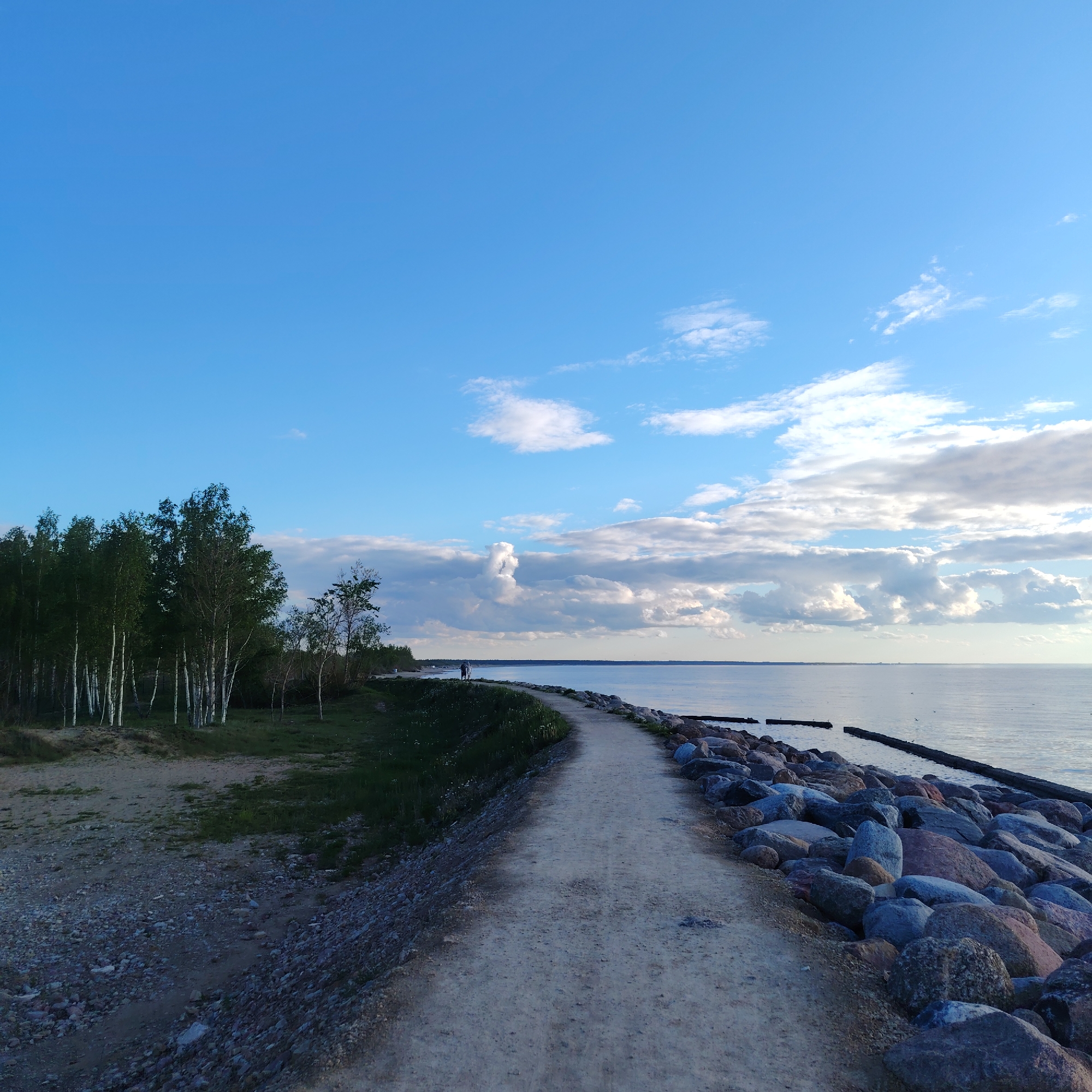 The image depicts a coastal pathway lined with rocks, leading towards the sea in Riga, Latvia. A dirt path stretches into the distance, flanked on one side by a grove of birch trees and on the other by large rocks that appear to form a breakwater. The water is calm, reflecting the sky. In the distance, there's a suggestion of a coastline. Two people are barely distinguishable in the far distance, walking along the path. The sky is light blue with scattered clouds.