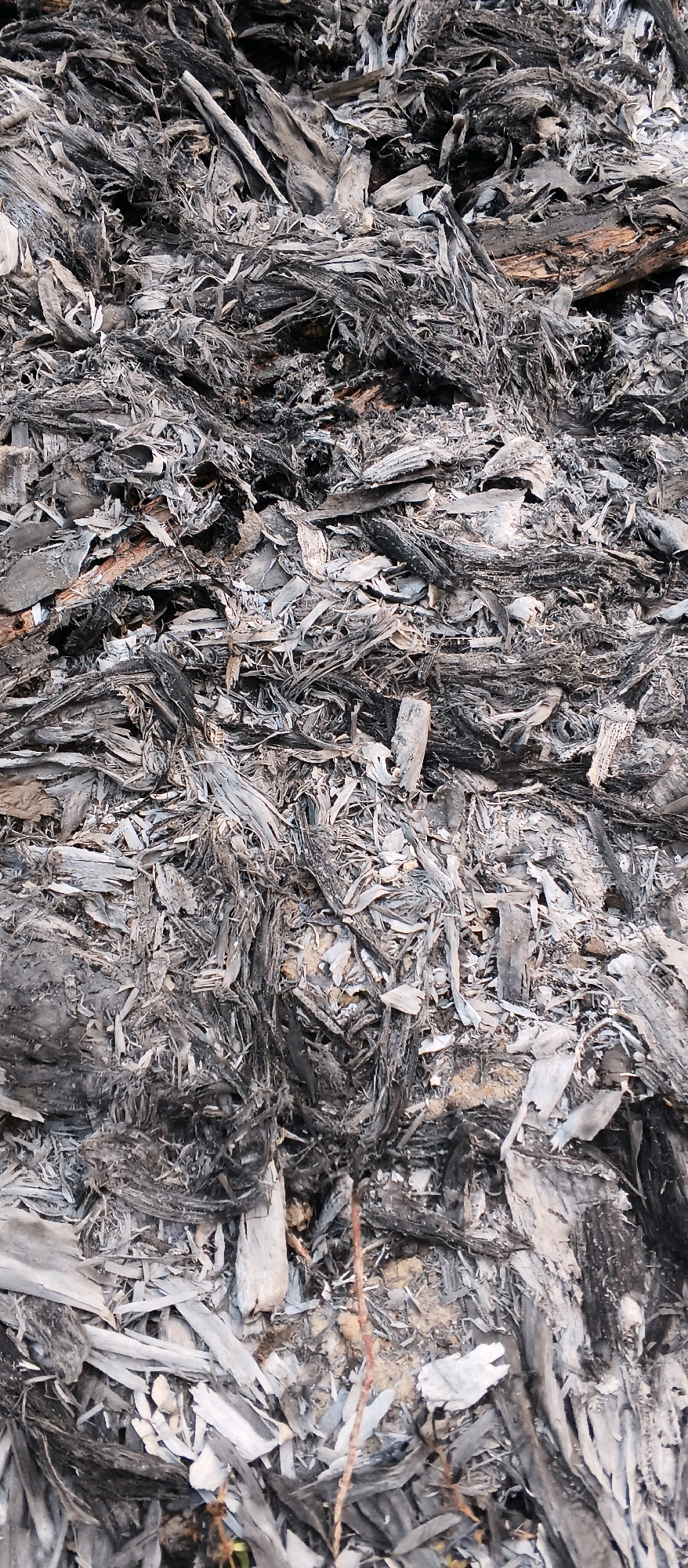 The image shows a close-up, overhead view of a pile of burnt wood and debris. The material is predominantly dark gray to black, with some lighter gray and white ash present. The texture is rough and fibrous, composed of splintered wood fragments, charred bark, and other organic matter. The debris is densely packed, creating a chaotic and uneven surface. There are no visible signs of human activity or life in the immediate vicinity of the debris pile. The scene appears to be an outdoor environment, with hints of soil or ground visible beneath the debris in some areas. This image was taken in Japanan, Indonesia.