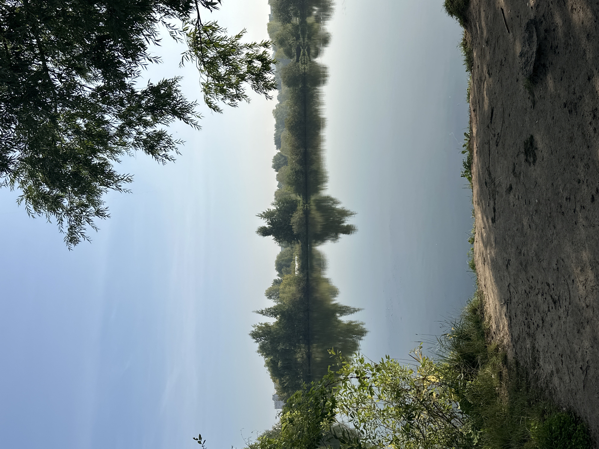 This image depicts a serene natural landscape, likely a park or waterfront area, possibly within the city of Kazan, Russia. The scene is dominated by a calm body of water reflecting the clear, pale blue sky and the lush green foliage on the opposite bank. A dense line of trees, with varying shades of green and some taller, slender trees interspersed, forms the backdrop across the water. On the left side of the foreground, a thick cluster of green bushes and grass grows on the edge of the land, some of which is bathed in sunlight, creating a warm glow. The ground in the immediate foreground is a mixture of dark, sandy soil and patches of grass, with some shadows cast by unseen trees. Overhanging the scene from the upper right and partially on the left are the delicate, drooping branches of a tree, likely a willow, with its leaves silhouetted against the sky. The overall impression is one of tranquility and natural beauty, typical of a peaceful morning or late afternoon in a park setting. There are no people or visible animals in the frame. The environment appears to be in a natural state, with no man-made structures immediately apparent, except for what might be distant buildings visible on the far left horizon behind the trees.