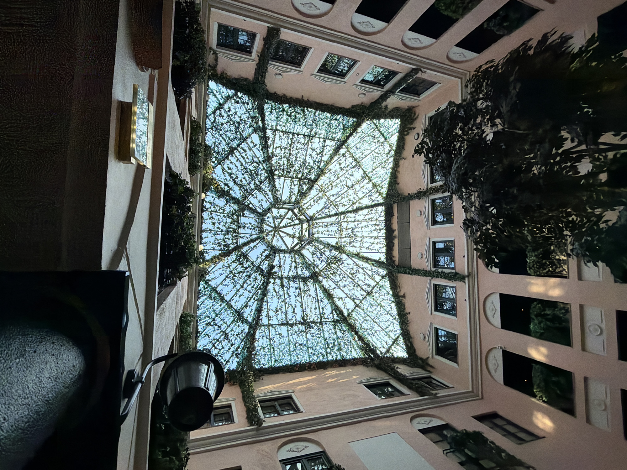 The image shows an interior courtyard with a domed glass ceiling covered in vines. The courtyard walls are painted pink and have numerous windows. A large tree with dark leaves is visible in the foreground, extending upwards towards the ceiling. The lighting suggests it is either dusk or the interior is dimly lit. The location is the S:t Gertrud Hotel in Malmö, Sweden, an establishment known for its distinct architecture and this particular courtyard.