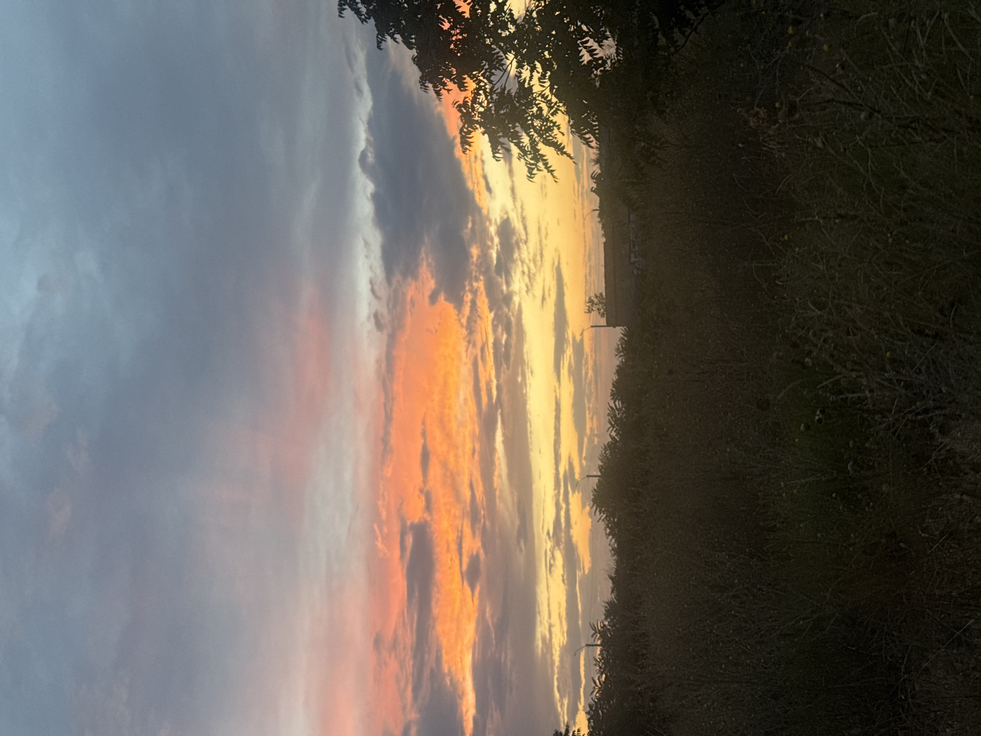 This is a photograph of a sunset over a rural landscape in Avanhard, Ukraine. The sky is filled with dramatic clouds, colored with hues of orange, yellow, and grey. In the foreground, there is a field of tall grass and dark vegetation. In the middle ground, a building with graffiti on it is visible behind a line of trees. The scene is lit by the warm glow of the setting sun.