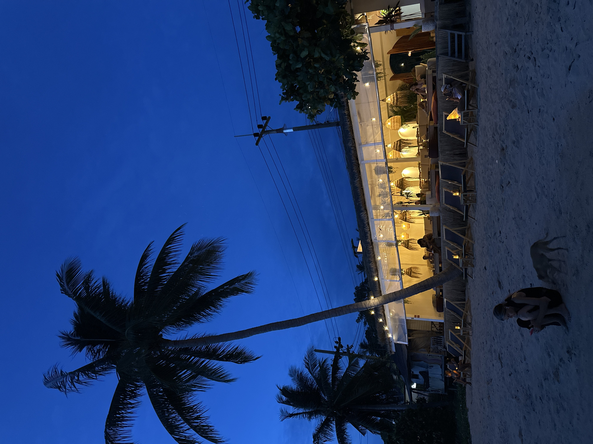 A group of people are gathered at a beachfront restaurant in Ko Pha-ngan, Thailand. The image depicts the scene at dusk, with the sky a deep blue and string lights illuminating the outdoor seating area of the restaurant. Palm trees are visible in the foreground and background, suggesting a tropical location.
Several individuals are seated at tables, enjoying the evening ambiance. A woman is crouched on the sandy ground in the foreground, facing away from the camera, and a dog is visible nearby. The restaurant appears to be open-air, with thatched roofing and transparent siding. The lighting creates a warm and inviting atmosphere.
The overall mood is relaxed and casual, indicative of a leisurely evening by the sea. The time of day is clearly after sunset, with artificial lights taking over as the primary light source. There are no visible text elements in the image.