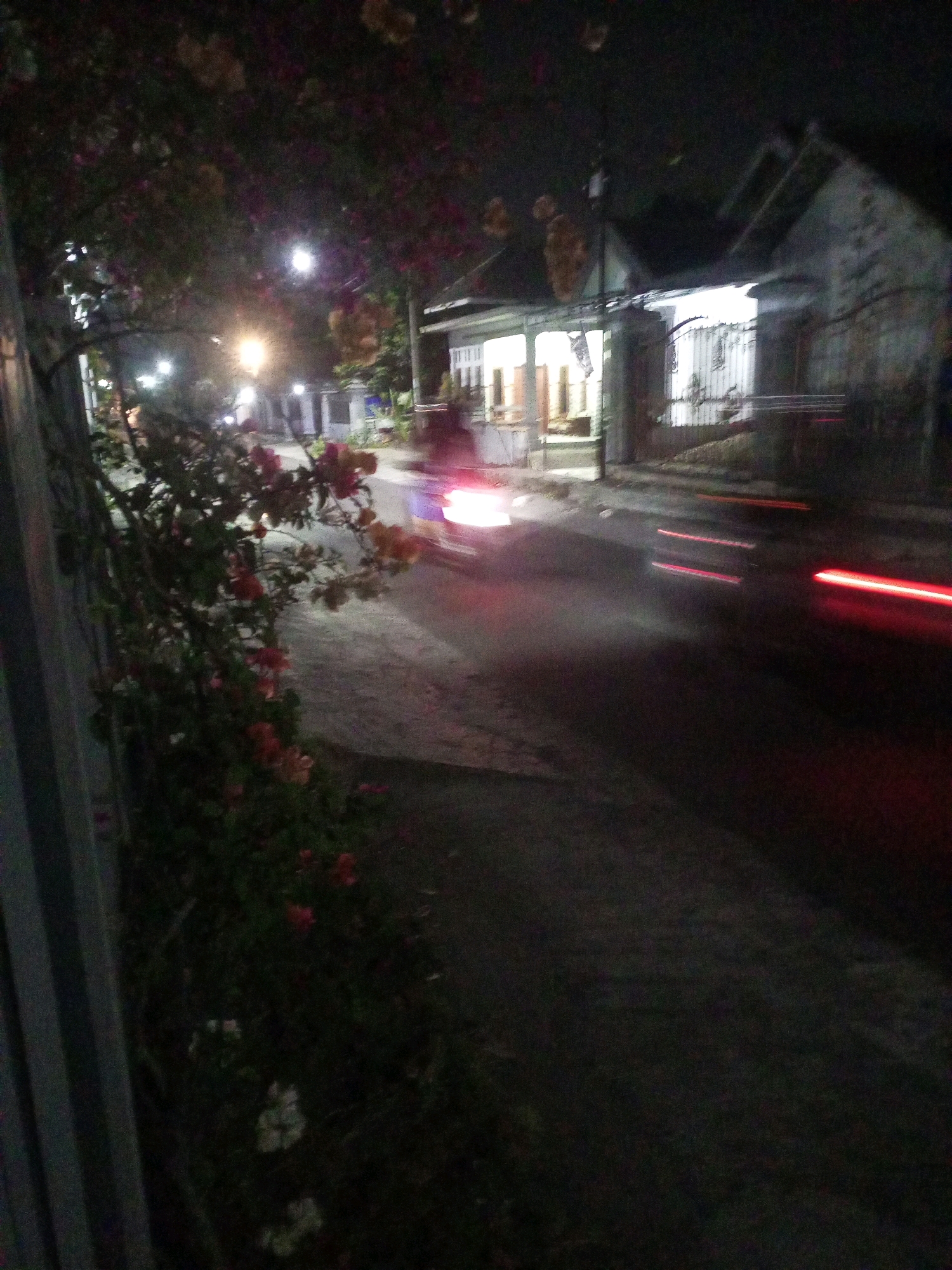 The image depicts a nighttime street scene in Ngasem, Indonesia. A blurry motorcycle with its headlight illuminated is in motion on the road, leaving light trails. To the left of the road, there is a vibrant bush with pink and orange flowers, partially obscuring a vertical gray structure. Across the street, a building with illuminated windows and a gabled roof is visible, its facade partially obscured by shadows. The street is paved and appears to be a residential area. The overall ambiance is dark, with artificial light sources creating stark contrasts.