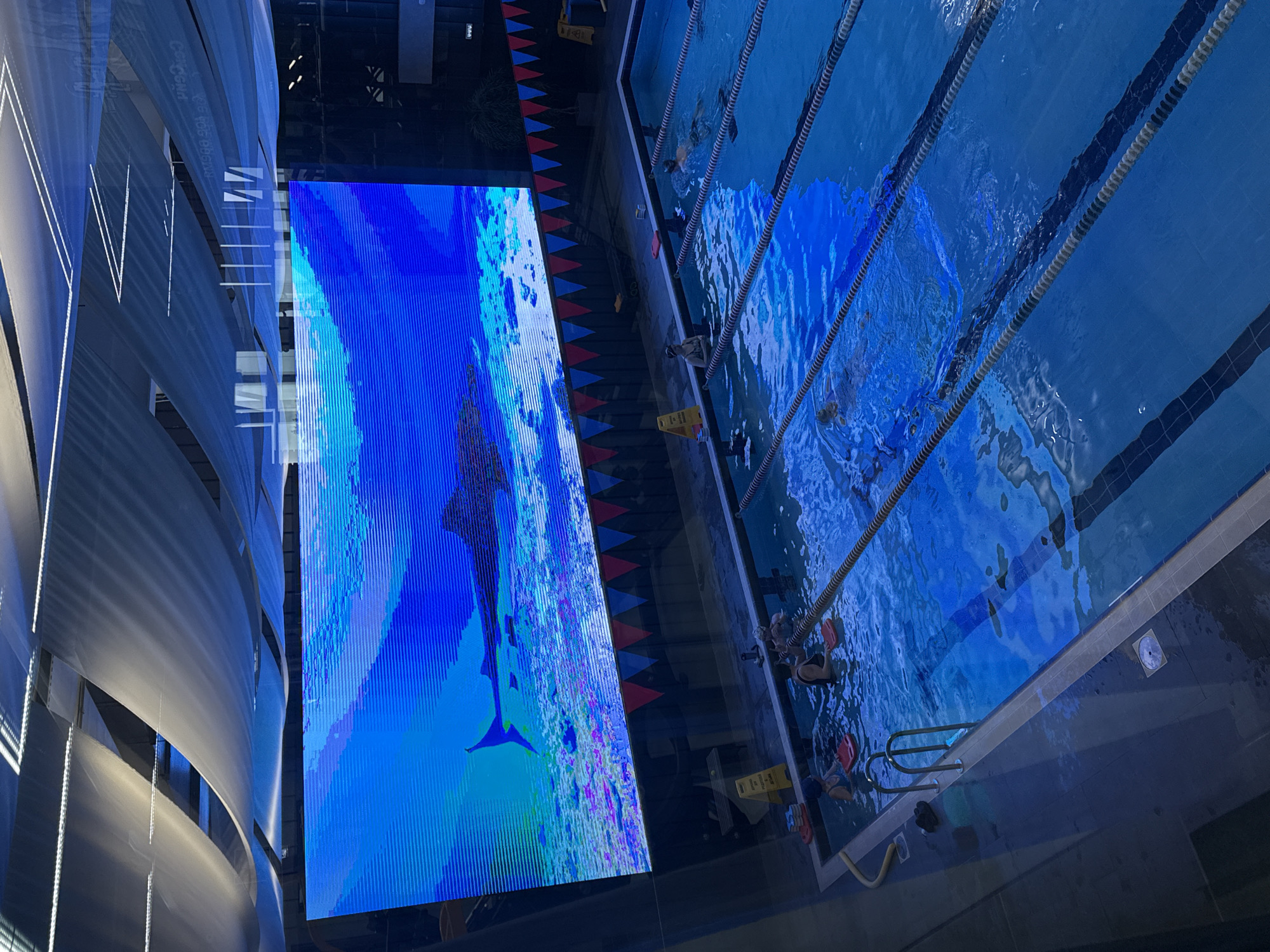 The image displays an indoor swimming pool complex, identified as being in Votkinsk, Russia. A large LED screen dominates the far wall, prominently featuring a vibrant blue underwater scene with a large, dark marine creature, resembling a shark or marlin, swimming over a coral-like seabed. Visible horizontal scan lines are present across the screen. Below the screen, a string of red, white, and blue triangular bunting is affixed to the wall.
The ceiling above the screen is characterized by undulating white fabric drapes suspended beneath linear fluorescent light fixtures. Reflections of these lights and faint, mirrored Cyrillic text (including characters resembling "RM500") are discernible on an overhead reflective surface or glass barrier in the upper right quadrant.
The swimming pool occupies the lower half of the image. It is divided into sections: a shallower area in the immediate foreground and a main pool section further back, delineated by multiple lane ropes. The water is illuminated with a deep blue hue.
Several individuals are present within the pool. In the foreground shallow section, two individuals, one wearing a swim cap, are standing in the water, each holding a red kickboard. In the main pool section, at least two individuals are visible, one actively swimming freestyle, and another standing near a lane line.
The poolside deck, visible between the viewer and the pool, features a yellow A-frame "wet floor" sign with Cyrillic text. A yellow hose or pipe lies along the left edge of the foreground pool. A dark potted plant is situated in the background near the screen, to the right of the pool.