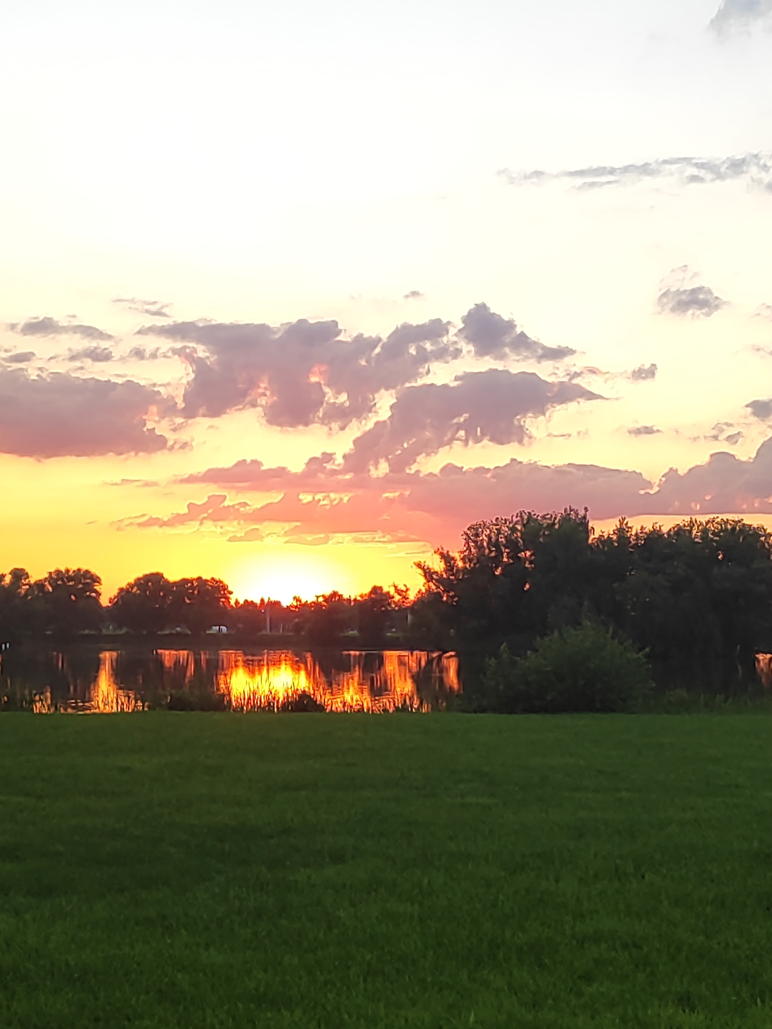 A serene sunset scene unfolds over a body of water, reflecting the vibrant hues of the sky. The sun, a brilliant orb of light, is partially obscured by fluffy clouds painted in shades of pink, orange, and yellow, creating a breathtaking spectacle. The water's surface mirrors the celestial display, with shimmering reflections of the sun and clouds dancing on its tranquil expanse. Trees line the opposite bank, their dark silhouettes contrasting with the luminous sky and water. In the foreground, a lush green lawn stretches out, adding a touch of natural beauty to the picturesque landscape. The image captures a moment of tranquility and natural splendor, likely taken in the city of Bronnitsy, Russia, known for its scenic beauty and natural surroundings.