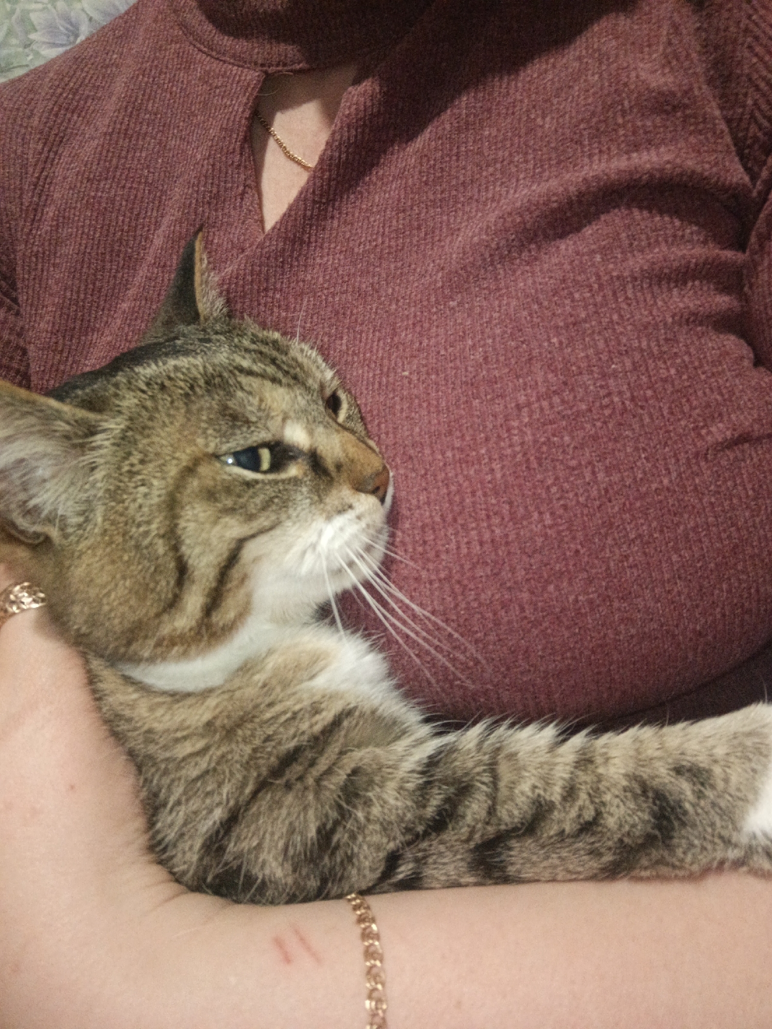 A close-up indoor shot captures a tabby cat being held by a person. The person's upper torso and arm are visible; they wear a dark red, ribbed long-sleeved top with a gold chain necklace peeking out from the neckline. A gold chain bracelet is on their wrist, and a ring is visible on a finger holding the cat. A few faint scratches are present on the person's skin.
The tabby cat, with its characteristic brown, gray, and black striped fur, has a white chest and muzzle, accented by prominent white whiskers. Its striking green-yellow eyes are directed towards the right side of the frame, giving it an observant or curious expression. The cat appears calm and comfortable, resting in the person's arms. The background is a softly blurred indoor setting, possibly showing a patterned wallpaper or fabric. The image conveys a warm, affectionate interaction between a pet and its owner in what appears to be a domestic setting, possibly in Марковский, Russia. No text is visible in the image.