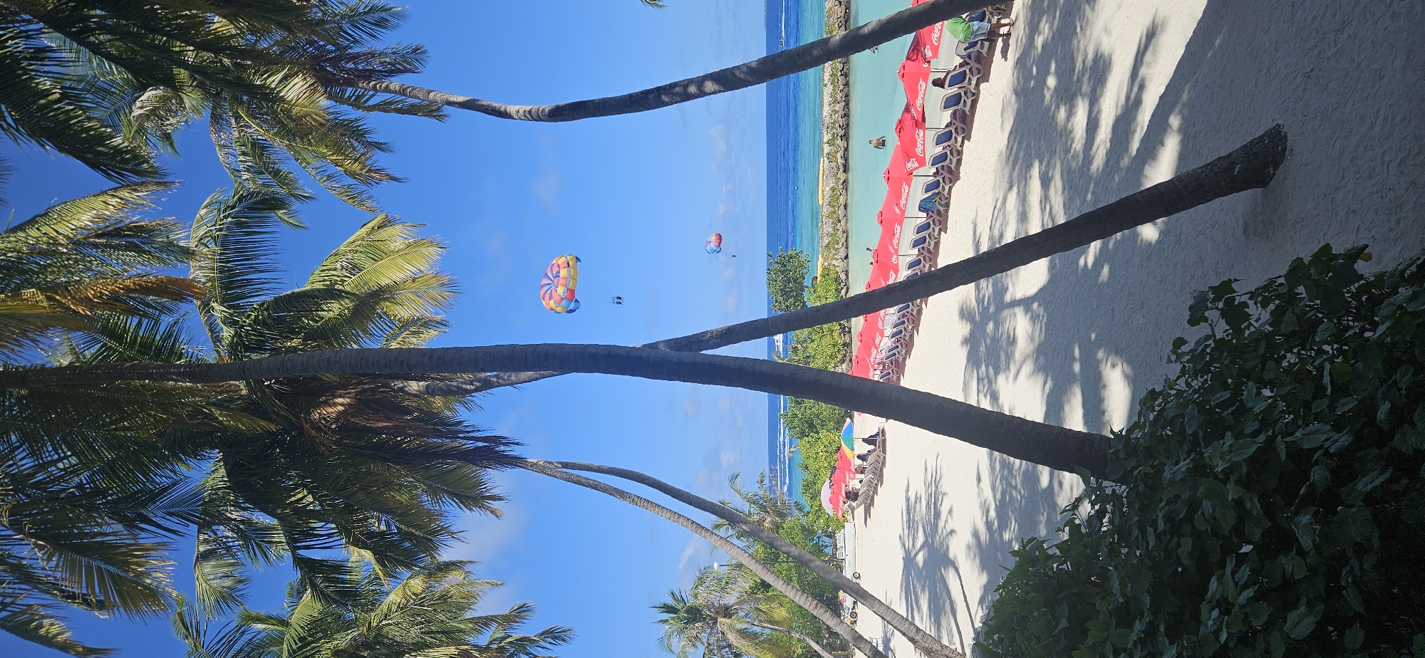 The image depicts a tropical beach scene in Maafushi, Maldives. Two prominent palm trees frame the foreground, their fronds casting shadows on the white sand. Beyond the palm trees, a line of red beach umbrellas and lounge chairs stretches along the shoreline. The turquoise water of the ocean is visible, with a few people swimming or wading near the shore. In the distance, a parasail with vibrant colors is seen in the bright blue sky, with two people attached. Another smaller parasail is also visible further out at sea. A white boat is cruising on the ocean in the far background, and lush green vegetation borders the beach. The overall atmosphere is one of leisure and tropical vacation.