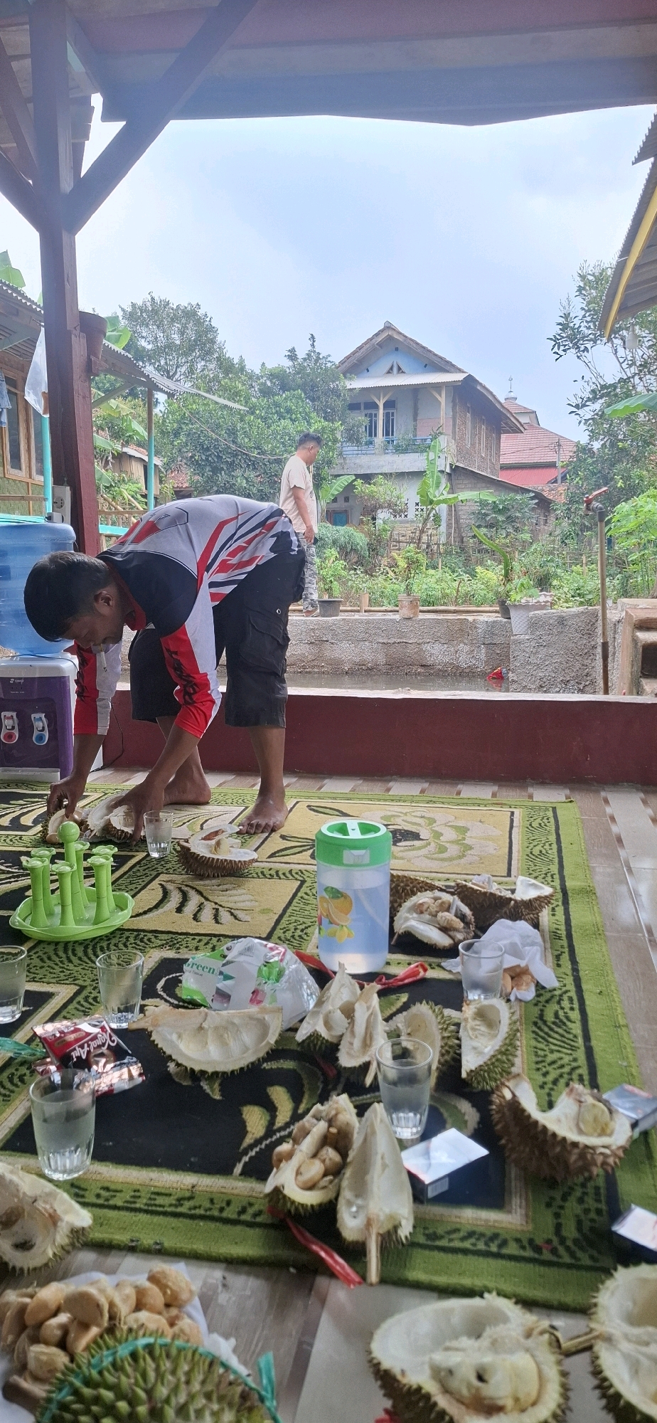 The image depicts an outdoor gathering in Cilaku, Indonesia, focused on consuming durian fruit. The scene is set on a green and black patterned rug laid out on a tiled floor, likely a veranda or patio area. In the foreground, several opened durians are scattered, with their yellow flesh exposed. Small glasses, some filled with clear liquid, are also visible on the rug, along with a green plastic fruit holder and a transparent water jug with a green lid. A person, wearing a red, white, and black long-sleeved shirt and black shorts, is bent over, appearing to be in the process of preparing or eating a durian. Another individual, wearing a light-colored t-shirt and camouflage pants, stands in the background, looking towards a two-story house with red roof tiles. Lush vegetation and trees surround the house, suggesting a rural or semi-rural setting. The sky is overcast, indicating a potentially cloudy day.
