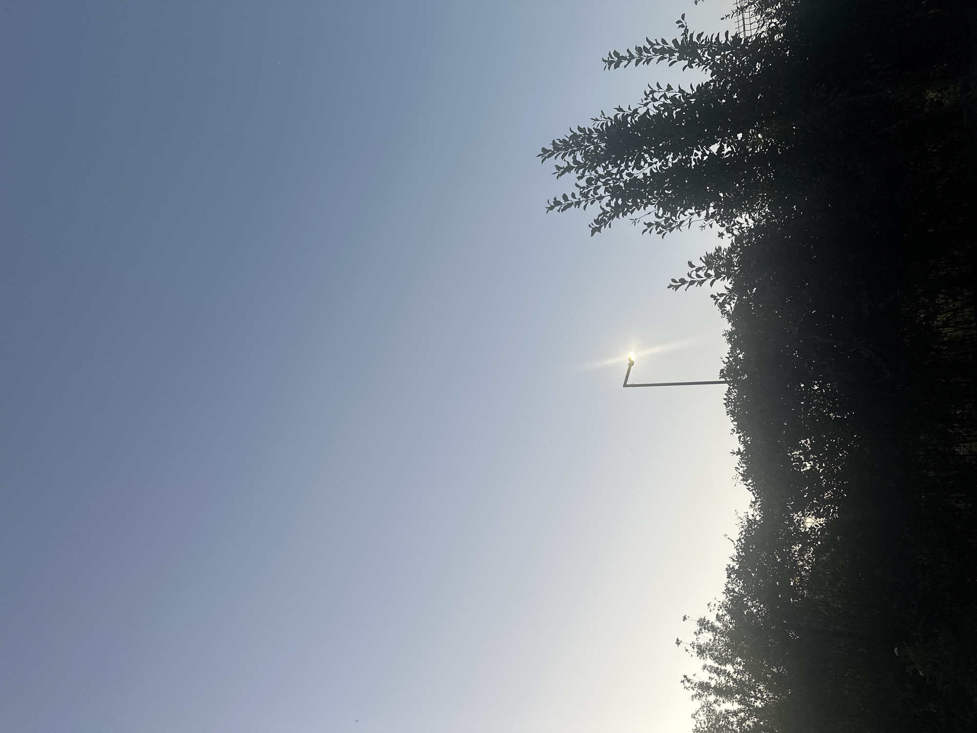 A low-angle, full outdoor shot captures a clear sky over a line of dark, silhouetted bushes. A single lamppost with a bright light is visible in the middle of the frame, protruding from behind the bushes. The sky is a light blue gradient, becoming lighter towards the horizon on the left side of the image, suggesting a sunrise or sunset. The overall impression is serene and tranquil.