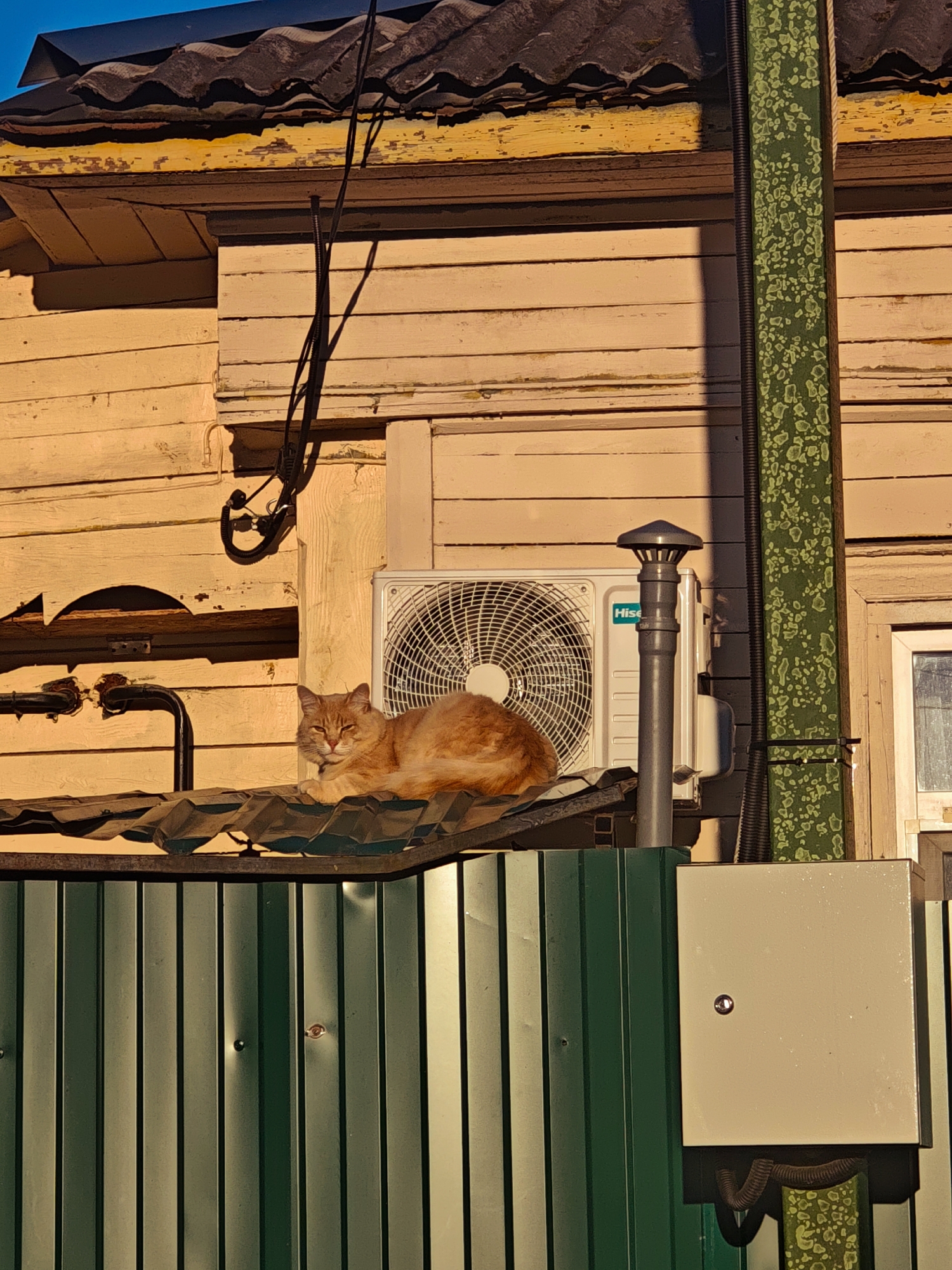 An orange cat rests on a corrugated metal roof, positioned on a weathered wooden building in Kimry, Russia. The building features a yellow-painted wooden facade with visible wear and peeling paint, topped by a dark, wavy roof. An air conditioning unit is mounted on the wall next to the cat. A green metal fence runs horizontally in the foreground, with a beige electrical box attached to a patterned green vertical pipe on the right side of the frame. The scene is illuminated by warm, low-angle sunlight, casting distinct shadows.