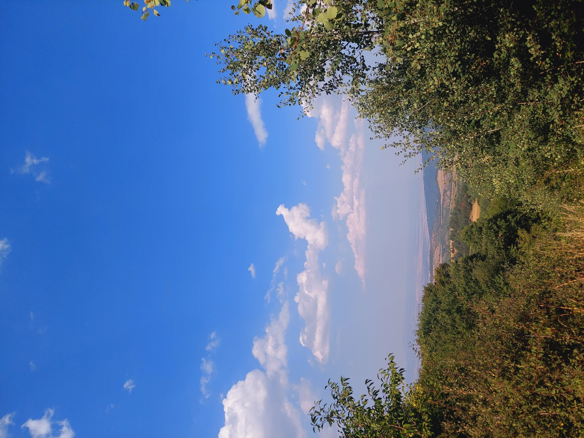This image depicts a panoramic view from a higher elevation, likely a hillside or vantage point, overlooking a valley and distant landscape. The sky is a vibrant, clear blue with scattered fluffy white clouds. In the foreground, lush green trees and foliage dominate, framing the view. On the left and right sides of the frame, dense bushes and trees with green leaves are visible. The middle ground showcases rolling hills with patches of vegetation and possibly some agricultural fields, fading into a hazy horizon. The distant landscape appears to be a flat plain or valley with muted colors, suggesting a significant distance. The overall atmosphere is one of natural beauty and tranquility under a bright, sunny sky. The location is identified as being in Bistritsa, Bulgaria. There are no people or specific structures visible in the image, only natural elements.