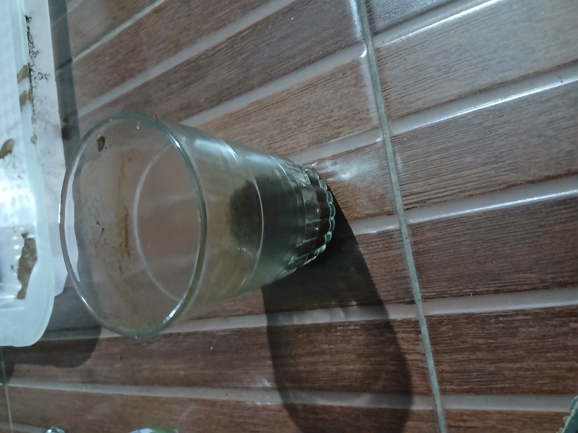 A glass of dark liquid sits on a tiled surface. The glass is partially filled with a dark liquid, possibly coffee or tea, and there are some sediment or residue at the bottom. The glass has a ribbed pattern on its lower half. The tiled surface is brown with lighter-colored grout lines, and it appears to be outdoors or in an area with natural light, as evidenced by the shadow cast by the glass. In the background, there is a white plastic container with some debris. The image is taken from a slightly elevated angle.