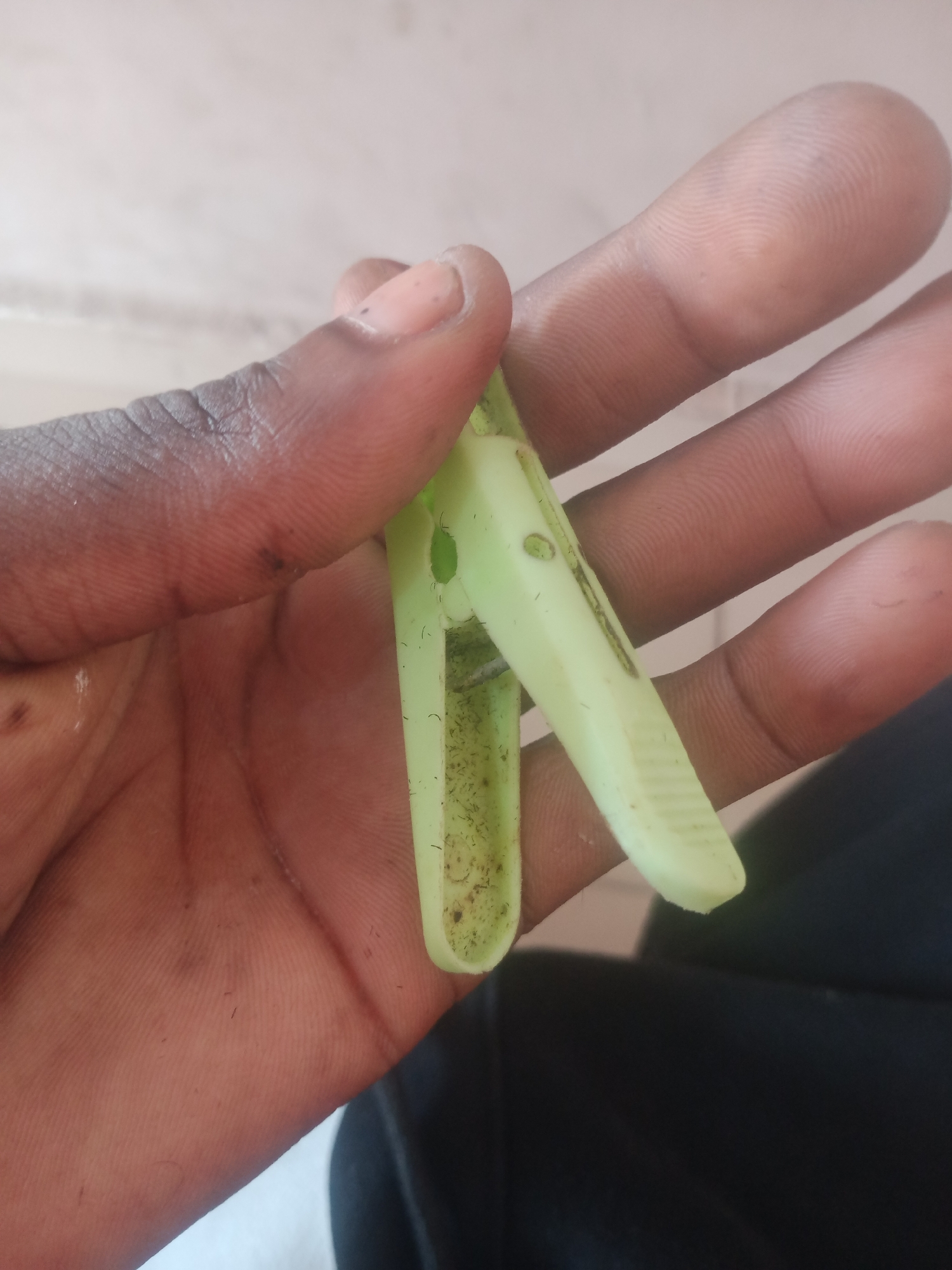 The image shows a close-up of a person's hand holding a light green clothespin. The clothespin appears to be dirty, with visible specks of dirt and possibly small fibers embedded in its surfaces. The hand has dark skin, with some dirt smudges visible on the fingers and palm. The background is out of focus but appears to be an outdoor or indoor setting with a light-colored surface, possibly a wall or floor. The lighting suggests it is daytime, but no specific weather conditions are discernible. The image focuses on the interaction between the hand and the clothespin, highlighting the texture and state of both. There is no visible text in the image. The context provided indicates the location as Jalingo, Nigeria.