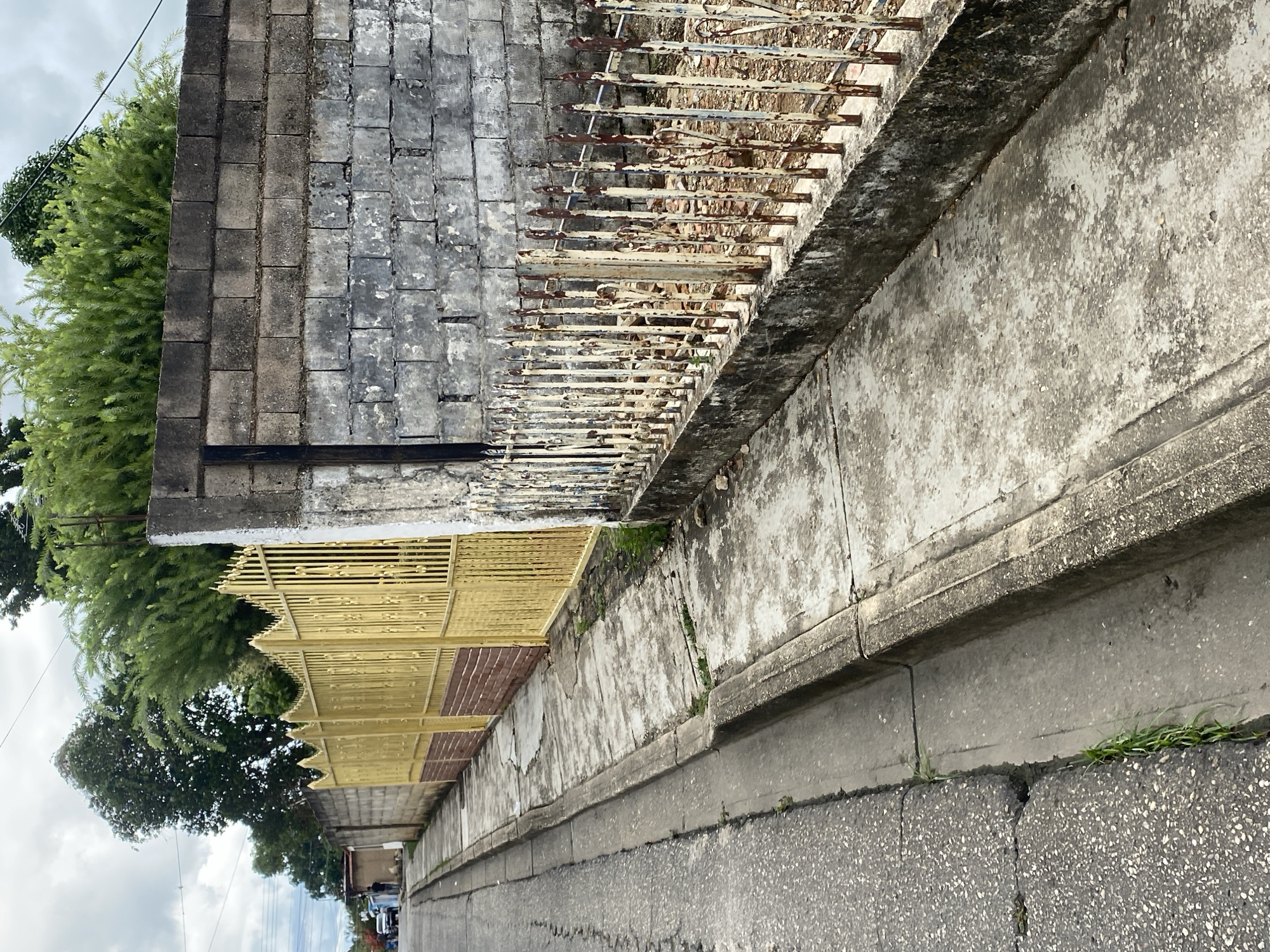 The image depicts a section of a street in Tinaquillo, Venezuela, showing a weathered, discolored concrete wall running along the edge of the pavement. A rusty, deteriorated iron fence is affixed to the top of the wall. Adjacent to the wall is a section of a yellow painted iron fence, also displaying signs of age. A dense cluster of green trees and foliage appears behind the fences. The asphalt street is cracked and shows signs of wear. In the distance, vehicles are visible on the street. The scene suggests an urban environment in a state of disrepair.