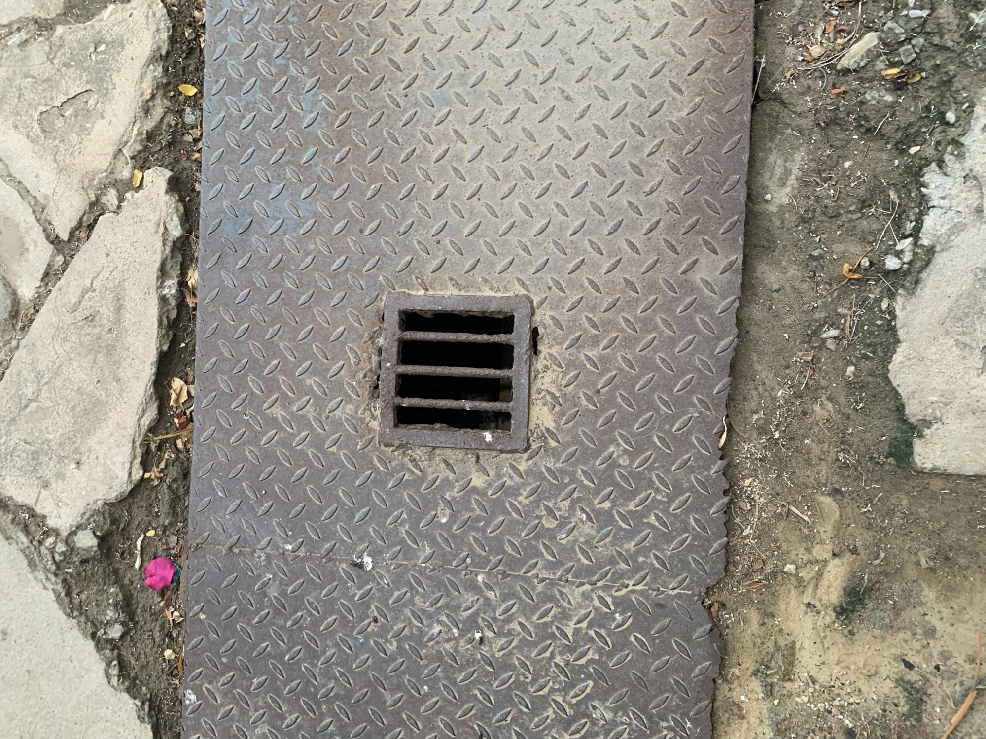 This overhead shot captures a weathered ground surface in Pampatar, Venezuela. The central subject is a large, rectangular metal plate, predominantly dark gray with hints of rust, featuring a prominent diamond-plate pattern across its entire surface. This pattern consists of raised, elongated ovals arranged diagonally, providing texture.
Embedded centrally within the metal plate is a small, square metal grate with several horizontal bars, likely serving as a drain or access point. The area around the grate shows signs of wear and accumulated grime.
To the left of the metal plate, the ground is composed of irregularly shaped sections of light gray concrete or pavement. These concrete pieces are cracked and worn, with visible gaps filled with dirt, small stones, and sparse organic debris such as dried leaves. A single, small, bright pink object, possibly a flower petal or piece of plastic, is visible in the dirt near the bottom left concrete edge.
The right side and bottom edge of the metal plate are bordered by loose soil, dirt, and scattered debris, including small rocks and dried plant matter. The lighting suggests it is daytime, casting no significant shadows. The scene depicts a static, functional piece of ground infrastructure, showing signs of age and regular use in an outdoor setting. No discernible text is visible anywhere in the image.