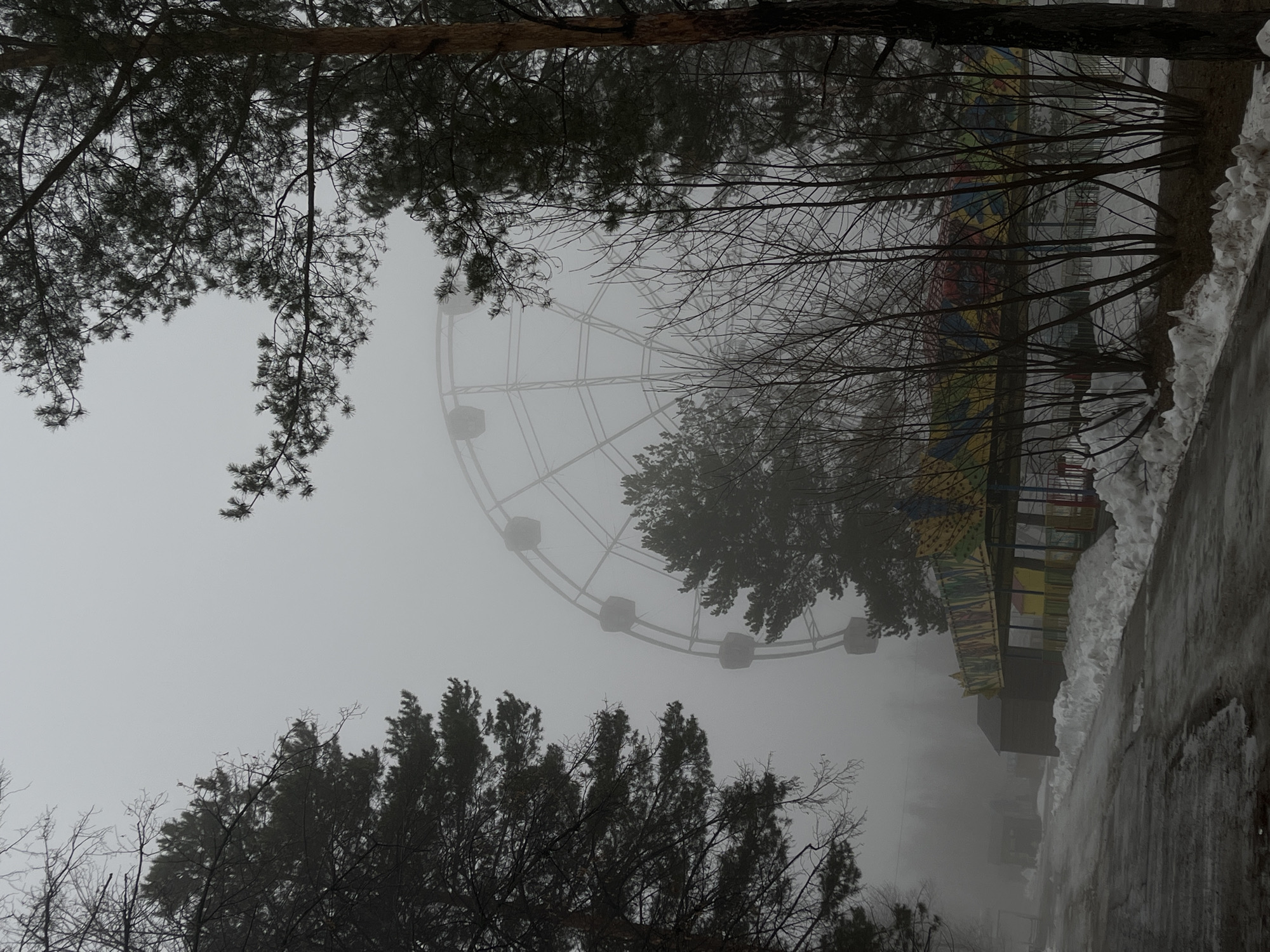 The image shows a foggy scene in Neftekamsk, Russia. A Ferris wheel is partially visible through the fog and trees. A building with colorful panels is partially visible to the right of the Ferris wheel. Snow is piled up along a paved surface on the right side. Bare branches and evergreen trees dominate the foreground and create a frame for the Ferris wheel.