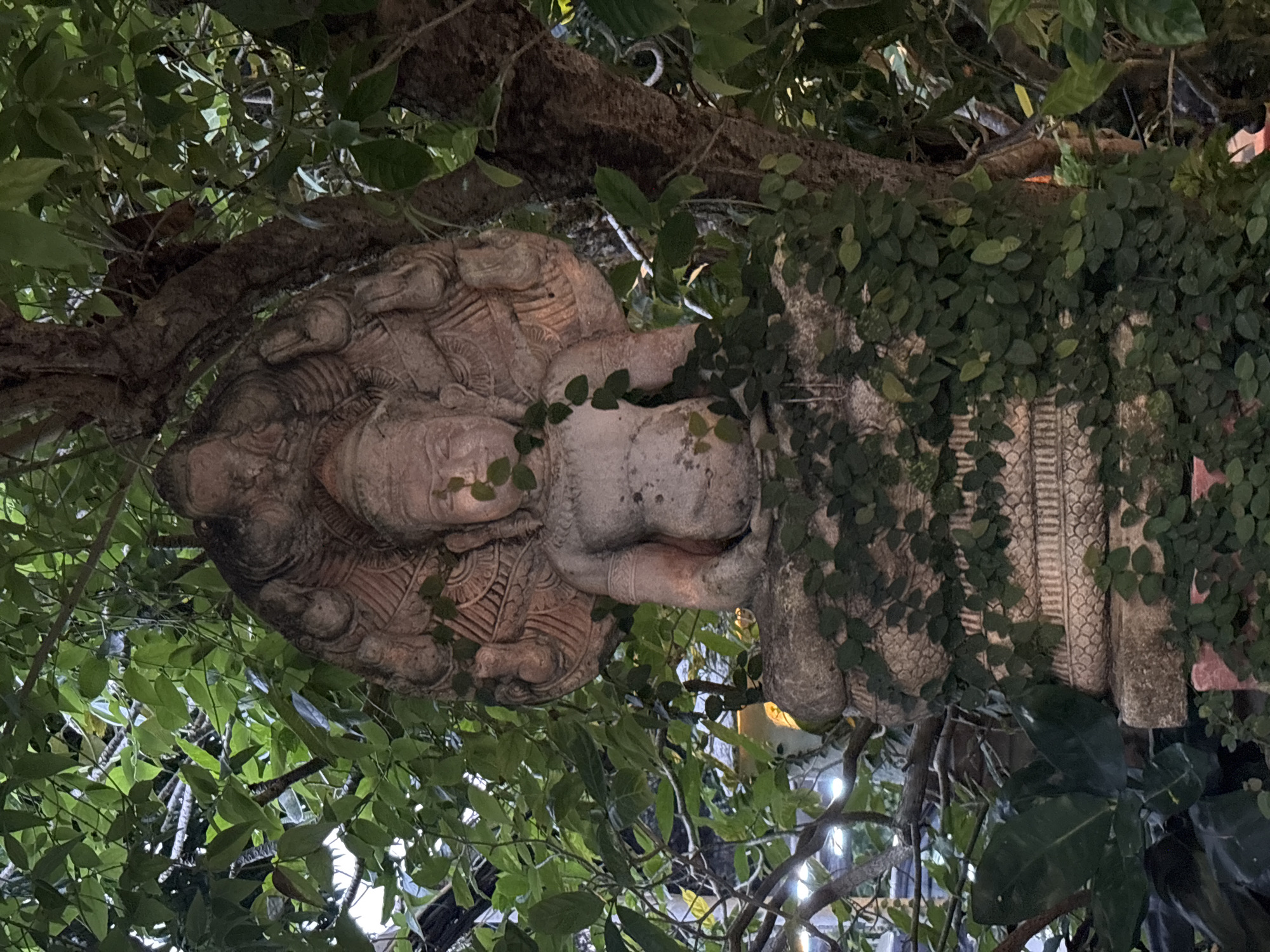 A stone statue of the Buddha, partially covered in ivy, sits amongst dense foliage in Chalong, Thailand. The statue depicts the Buddha in a seated meditation pose, with a multi-headed Naga serpent rising behind his head. The statue is weathered, with some moss and lichen growing on its surface. The surrounding environment is lush and green, with trees and other plants creating a natural canopy. The lighting suggests it is daytime, with sunlight filtering through the leaves. The overall impression is one of serene beauty and ancient spirituality.