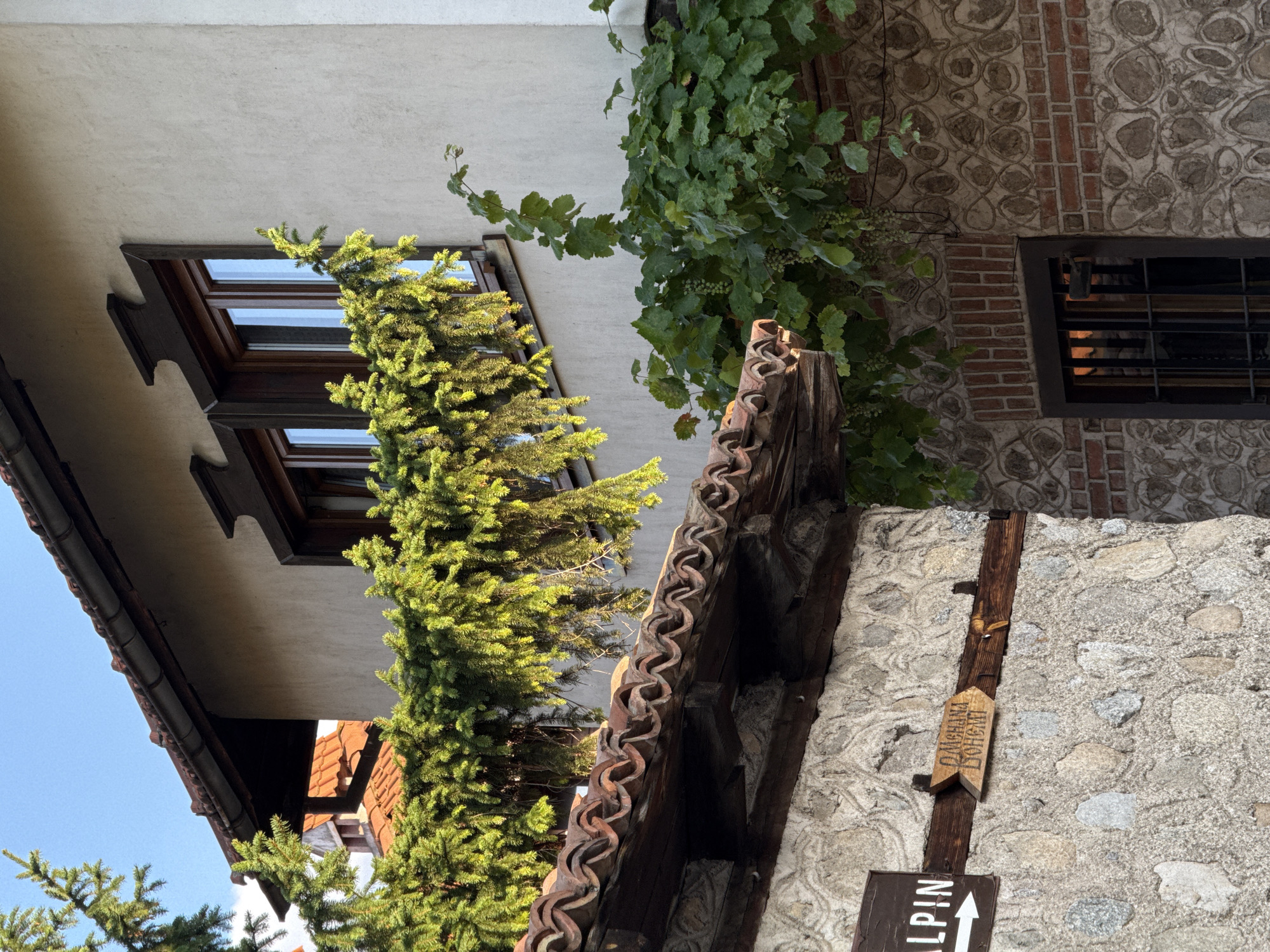 The image captures a close-up view of traditional Bulgarian architecture in Bansko, Bulgaria. In the foreground, a stone wall is visible, with two wooden signs attached. One sign, pointing to the left, reads "ALPIN" in white text on a dark background. Another sign, a wooden arrow pointing right, has Cyrillic text that appears to read "МЕЧАНА ДОНЕВ". Above the stone wall, a roof with traditional red, curved tiles is prominent, supported by wooden beams. Evergreen branches, possibly from a fir tree, hang over the roof and the side of a building.
The building to the right has a light-colored stucco exterior. Two wooden-framed windows with dark trim are visible on the upper level. Decorative wooden elements are situated above each window. Green grapevines with developing grape clusters trail down the side of this building, with some foliage obscuring a lower brick section. Below the windows, on the lower part of the building, a window with a dark frame and a metal grate is visible, reflecting the warm glow of what appears to be sunset. The overall scene suggests a historic and charming urban environment characteristic of Bansko.