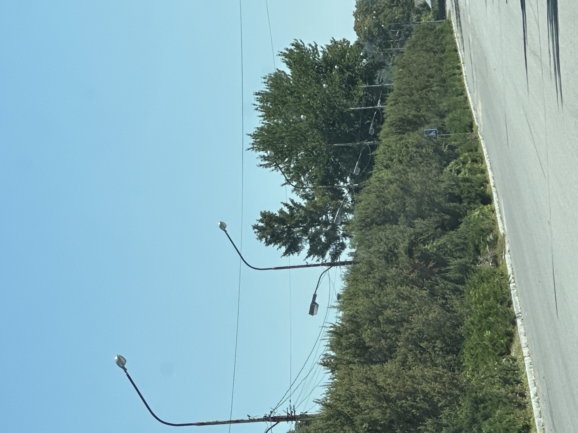 The image depicts a roadside scene under a clear blue sky. The foreground shows a grey asphalt road with a concrete curb and a line of green, manicured bushes and trees bordering it. In the background, several lampposts are visible, some with curved arms and others with straighter arms. There are also electrical wires strung between poles. Behind the greenery, larger trees with full canopies are present, and further in the distance, more trees and some structures can be discerned. A small blue and white road sign with a symbol is visible on a pole within the greenery. The scene appears to be a quiet, suburban or semi-rural area, possibly on the outskirts of Makiv, Ukraine, given the context. There are no people or vehicles visible in the image. The lighting suggests it is daytime, with clear visibility.