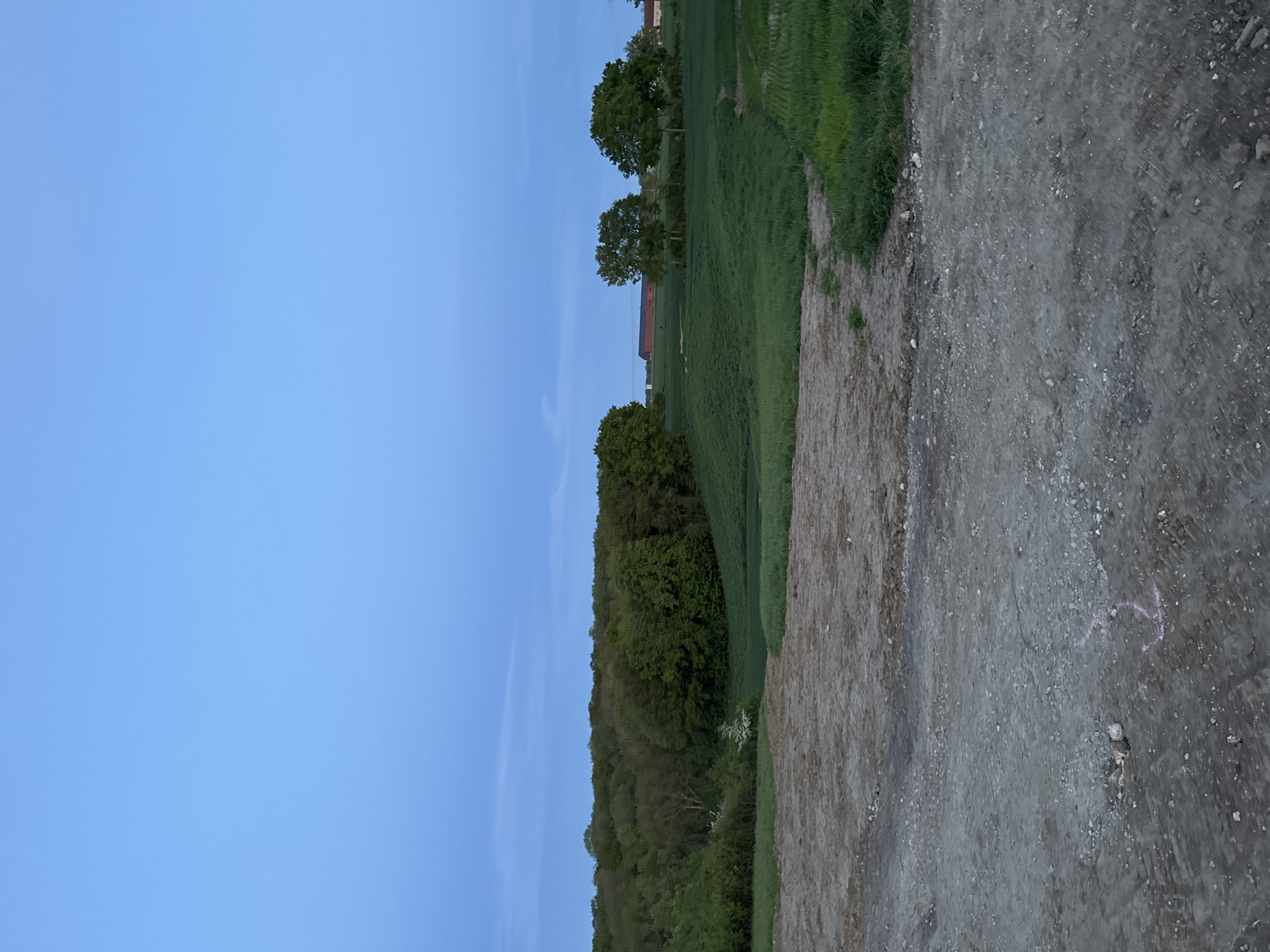 This image depicts a tranquil rural landscape in Gometz-le-Châtel, France, captured during either dawn or dusk. The upper half of the frame is dominated by a clear, light blue sky, indicating fair weather with no visible clouds.
Below the horizon, the scene transitions to lush green fields, possibly agricultural crops, extending into the midground. A line of verdant trees, some appearing as individual large deciduous trees with full canopies and others forming a denser wooded area, stretches across the landscape. Nestled within the distant tree line, a few buildings with faint reddish roofs are visible, suggesting farmhouses or barns.
The foreground, occupying the right side of the image, features a wide, unpaved path composed of dirt and gravel. This path has a rough, textured surface with numerous small stones. A subtle, squiggly pink marking is faintly visible on the surface of the path. No people or animals are present in the serene natural setting. The soft, diffuse lighting is characteristic of the twilight hours.
