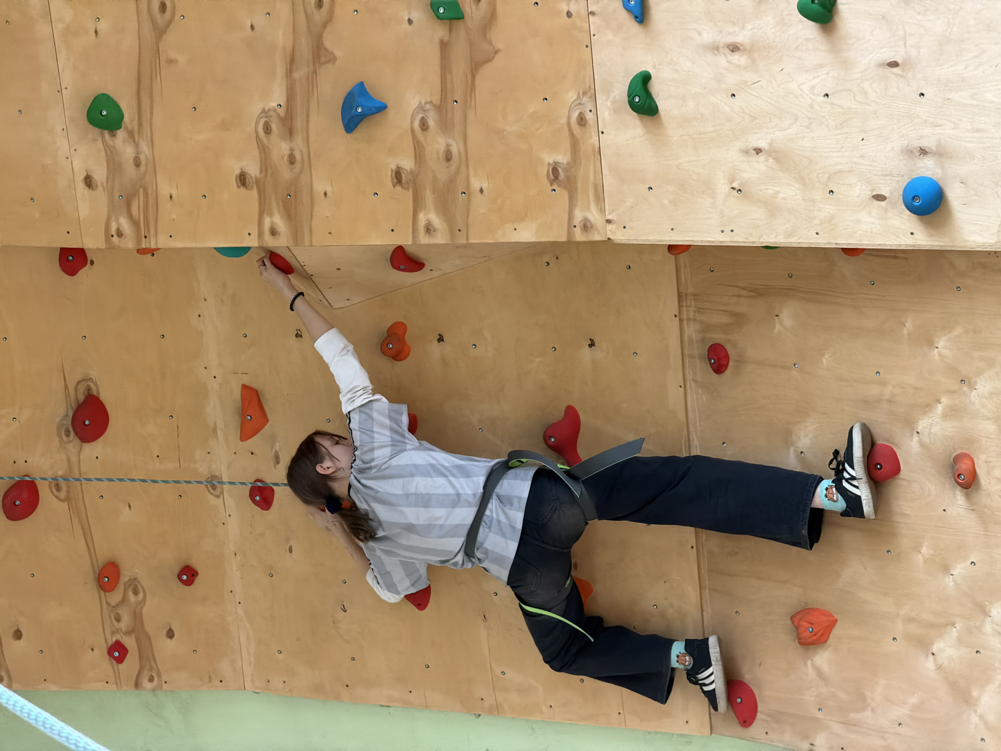 A young person is actively climbing an indoor rock wall at what appears to be a climbing gym in Izhevsk, Russia. The climber, wearing a light gray and white striped long-sleeved shirt, dark pants, and a gray climbing harness with neon green accents, is stretched horizontally across an overhang section of the wall. Their right hand is reaching for a red climbing hold, while their left hand grips another red hold. Their feet, clad in black Adidas sneakers with white stripes and light-colored socks featuring a cartoon character, are placed on red and orange holds.
The climbing wall is constructed from light-toned plywood panels, displaying visible wood grain and numerous small metal screws. It is densely covered with a variety of colorful climbing holds, including red, orange, green, and blue, all bolted securely to the wooden surface. A white and blue flecked safety rope is visible near the bottom of the frame. The scene is brightly lit by even indoor lighting, suggesting an active and well-maintained facility.