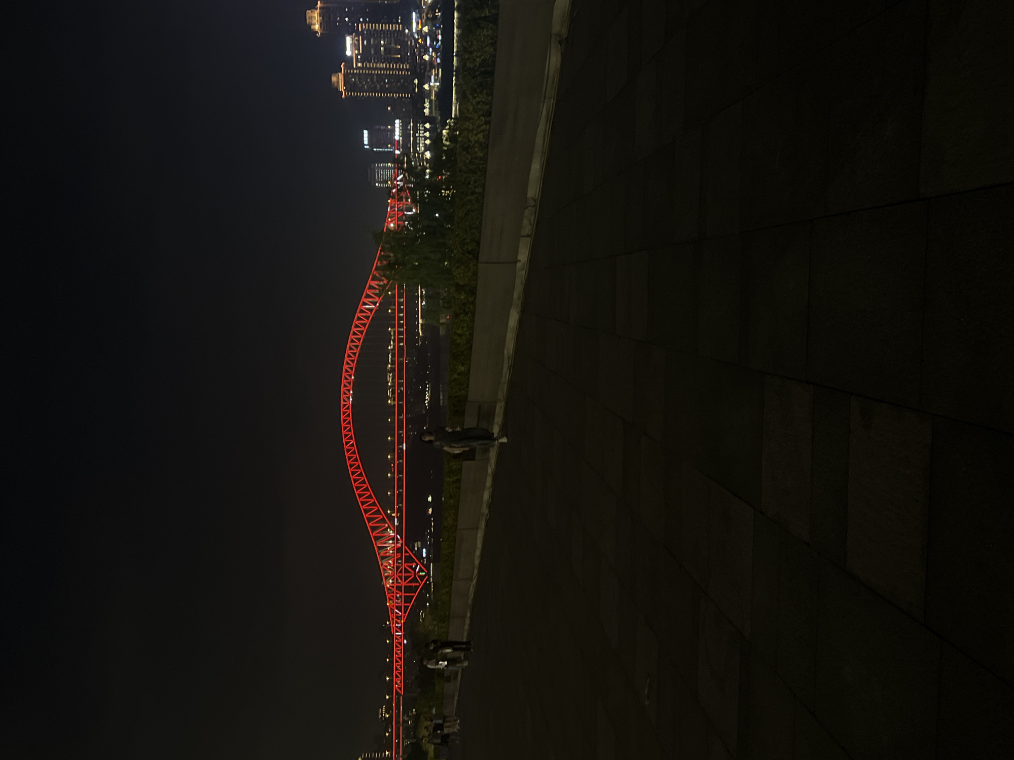 An elevated, wide-angle, low-light, nighttime photograph captures a city skyline featuring a prominent red illuminated bridge spanning a body of water. The bridge's arching structure is outlined with bright red lights, creating a dramatic visual against the dark sky. To the right of the bridge, several high-rise buildings are illuminated with warm yellow lights, indicating a densely populated urban area.
In the foreground, a dark, paved walkway stretches into the distance, with large rectangular stone tiles forming the surface. The walkway appears to be elevated or part of a promenade, with a low concrete barrier and dense green foliage bordering the edge to the left, separating it from the lower level where the bridge and skyline are visible.
Several individuals are present on the walkway. On the far left, a small group of three people, two women and a man, are walking away from the camera. Further to the right, a single person, a man, stands with his back to the camera, facing the bridge. To the right of him, another person, a woman, is walking towards the right of the frame, her figure illuminated by the ambient city lights. The presence of these pedestrians suggests a public space or park area.
The overall impression is one of a vibrant city at night, with the illuminated bridge serving as a focal point and the urban landscape stretching out beyond it. The scene appears to be set in 江北城街道, China, a location known for its modern architecture and lively nighttime atmosphere.