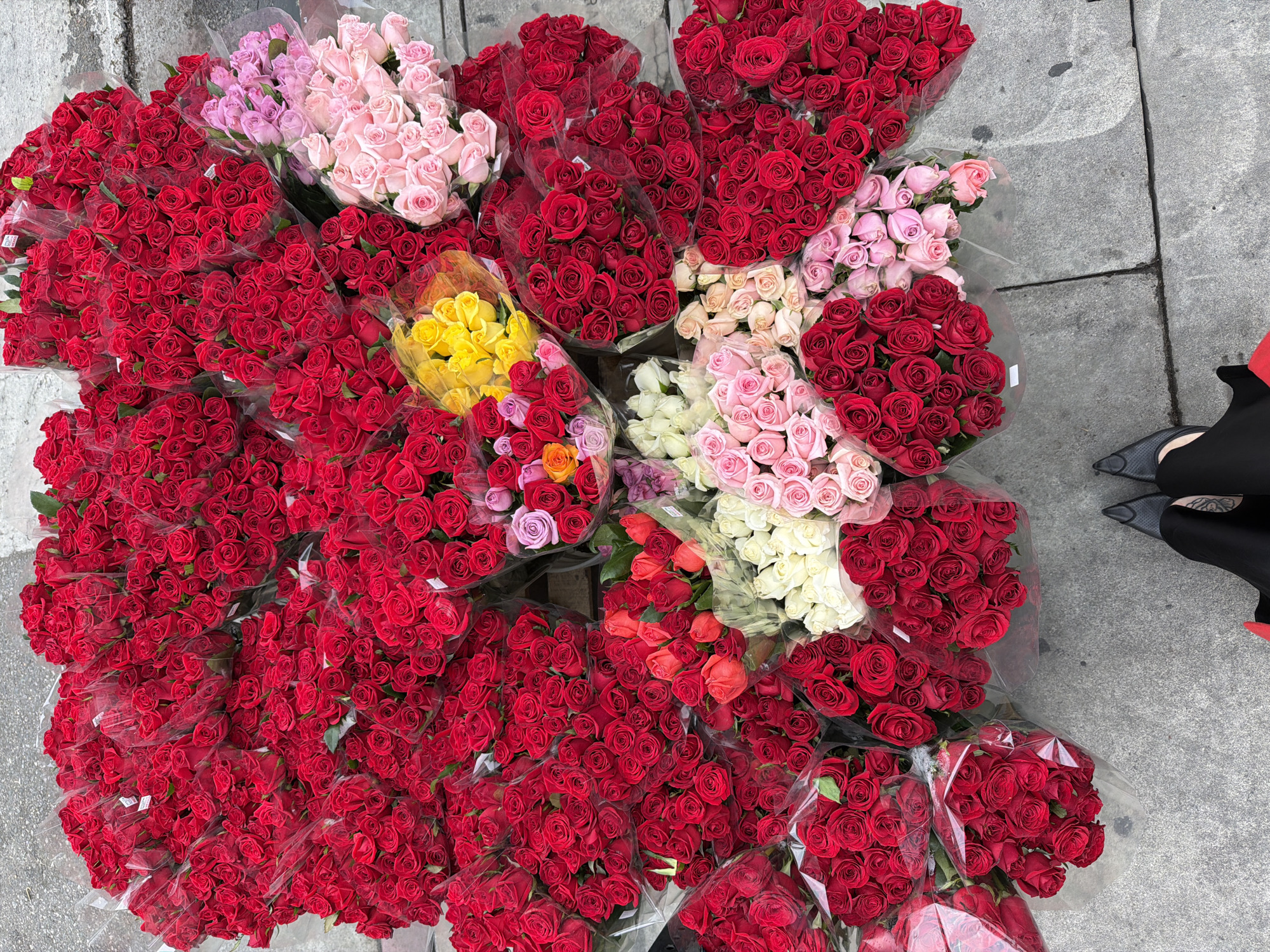 A high-angle shot shows a large display of roses arranged on a concrete sidewalk, likely a street vendor's display in Los Angeles, USA. The roses are primarily red, but there are also bouquets of pink, light pink, light yellow, and white roses. They are bundled in clear plastic wrap. In the right side of the frame, a person's legs are visible, wearing black pants and grey shoes with a hint of red. The scene suggests a daytime setting, possibly a sunny day given the brightness of the image. The abundance of flowers indicates a commercial setting, potentially a flower market or a roadside stand. No text is visible.