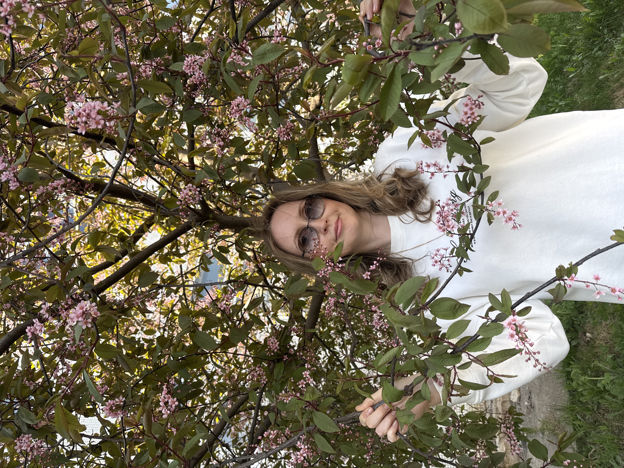 A woman with long, light brown hair, wearing sunglasses and a white sweatshirt, stands amidst a tree with pink blossoms and green leaves. She appears to be holding branches. The location is outdoor, and the photograph may have been taken in the city of Chaikovsky, Russia.