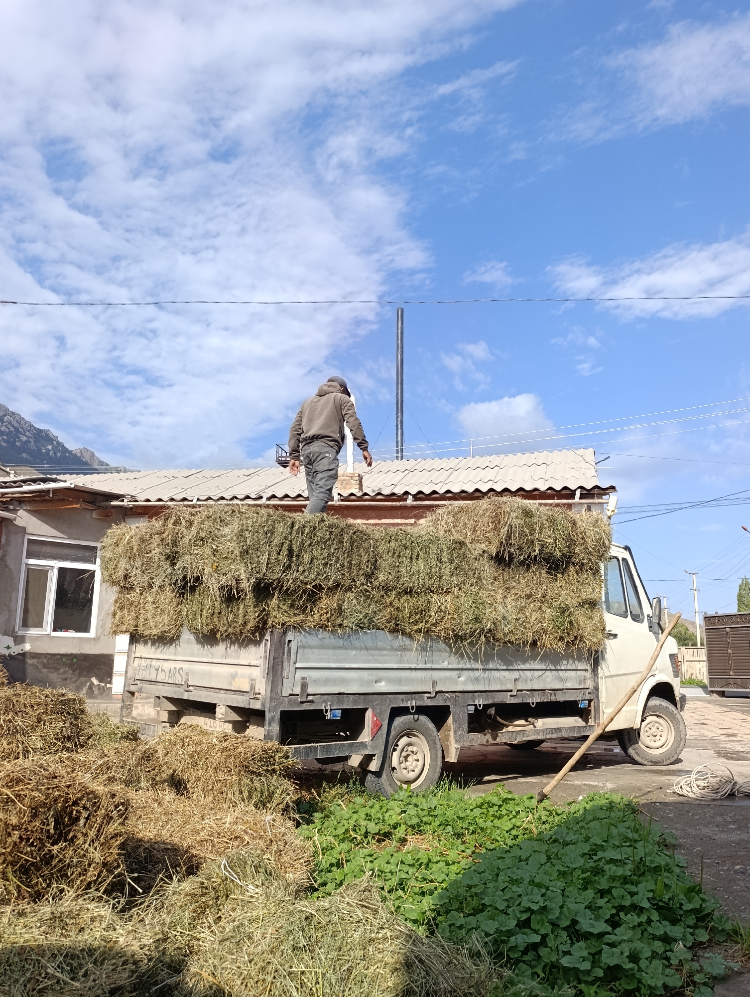 A man is standing on top of a truck filled with hay. He is wearing a brown hoodie and grey pants. The truck is parked in front of a house with a tiled roof. There are also piles of hay on the ground next to the truck. The scene appears to be in a rural area, possibly Naryn City, Kyrgyzstan, given the mountainous backdrop and the style of the house. The sky is blue with some white clouds. A long wooden pole with a metal tip is leaning against the truck. A coil of rope is on the ground near the truck.