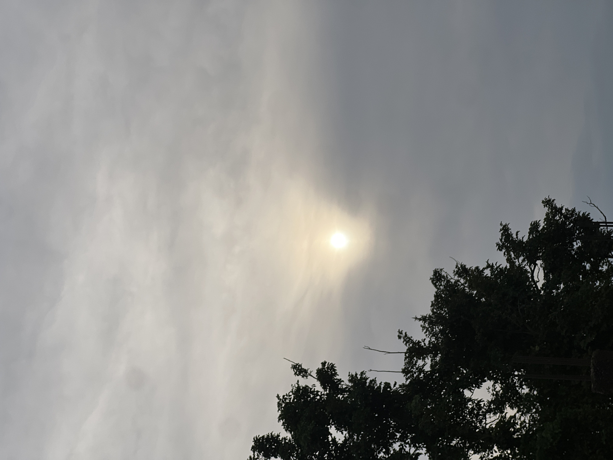 This media file captures a cloudy sky with the sun partially visible through the overcast conditions. The sun appears as a bright, hazy orb, suggesting it's either early morning or late afternoon, or that the cloud cover is thick. The sky is predominantly gray with lighter, diffused clouds.
In the lower right portion of the image, the dark silhouette of a large tree is visible, its branches reaching upwards. The leaves of the tree are dense and appear dark green, contrasting with the lighter sky. A thin branch extends from the tree towards the left. The overall mood is somewhat muted due to the cloudy weather.
The setting is likely outdoors, given the presence of the tree and the sky. Based on the provided location context of Nkpor, Nigeria, this image depicts a typical sky scene in that region. There are no people or specific objects of interest visible, apart from the natural elements of the sky and the tree. No text is present in the image.