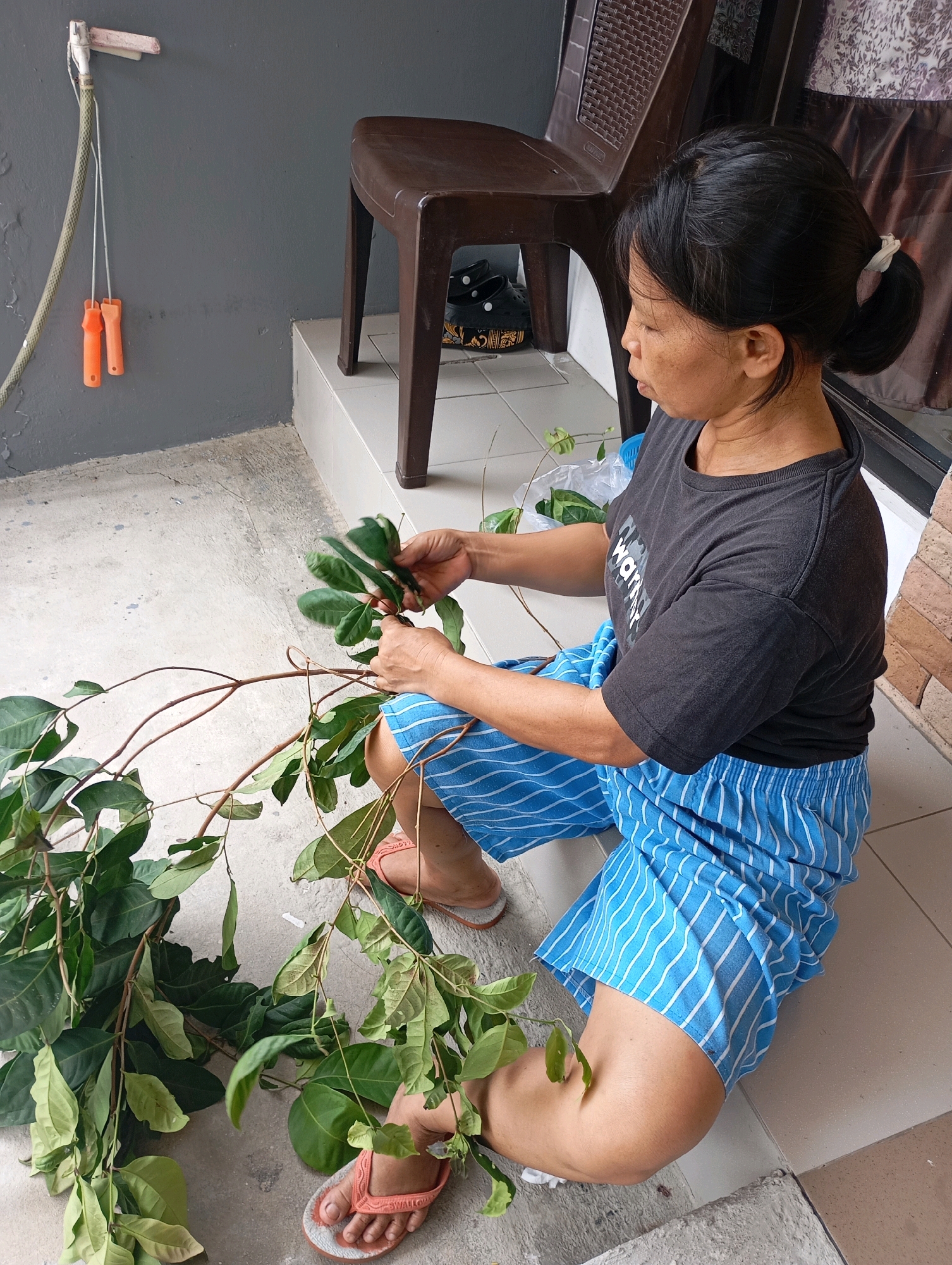 An Indonesian woman with her hair tied back in a ponytail sits on the ground next to a series of outdoor steps. She is wearing a dark t-shirt and blue and white striped shorts. In her hands, she holds a large leafy branch, appearing to be pruning it. To her left, a brown plastic chair is visible on the steps, and a garden hose hangs from a fixture on a gray wall to the far left. The ground is a rough concrete surface. The overall setting suggests an outdoor domestic area in Ciakar, Indonesia.