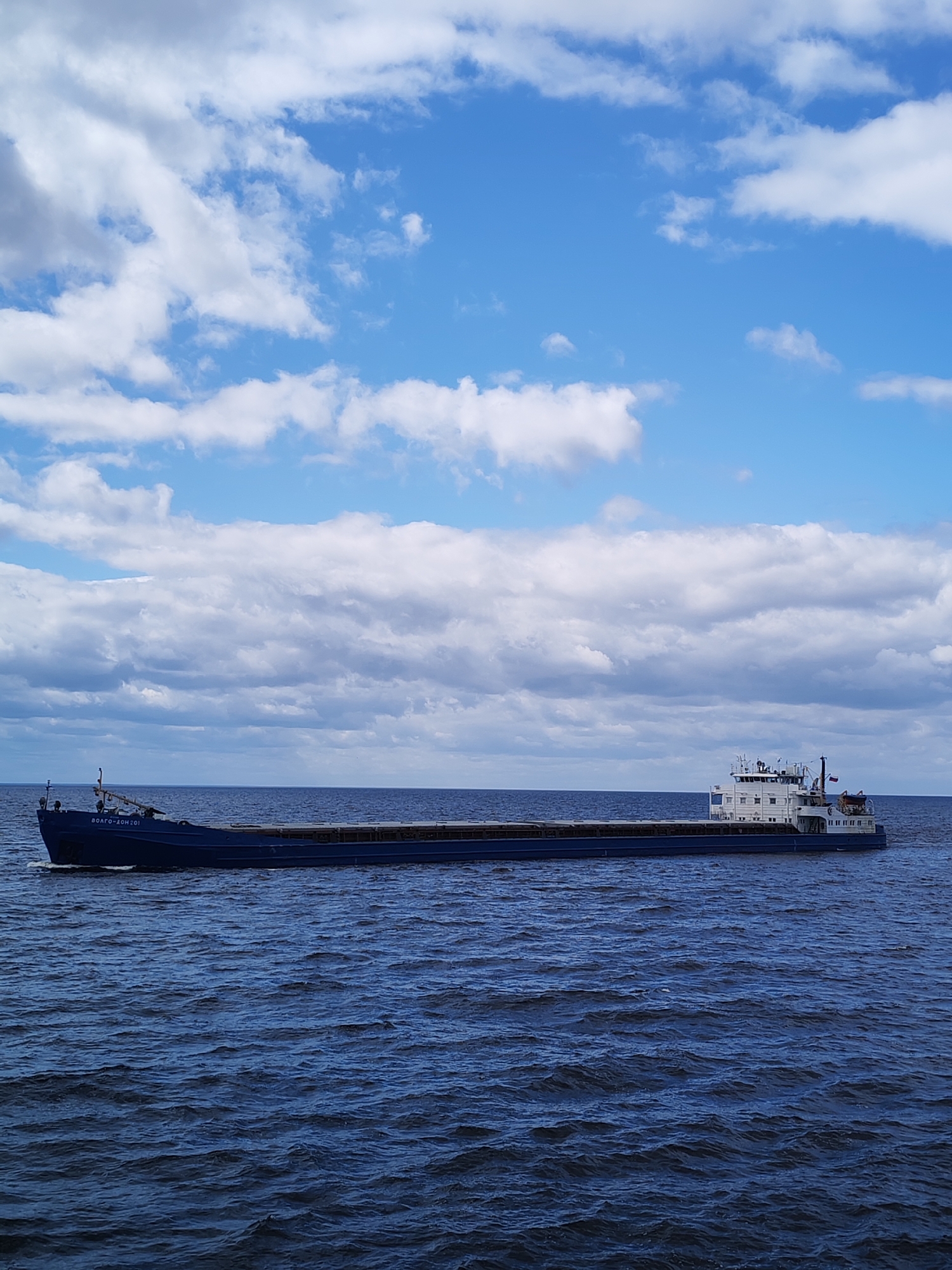The image shows a cargo ship on a body of water. The sky is blue with white clouds. The ship is dark blue with a white superstructure at the stern. The bow of the ship bears the inscription "ВОЛГО-ДОН 201". The water is dark blue and slightly choppy. The location is likely a river or lake in the vicinity of the city of Mologa, Russia, given the ship's name.