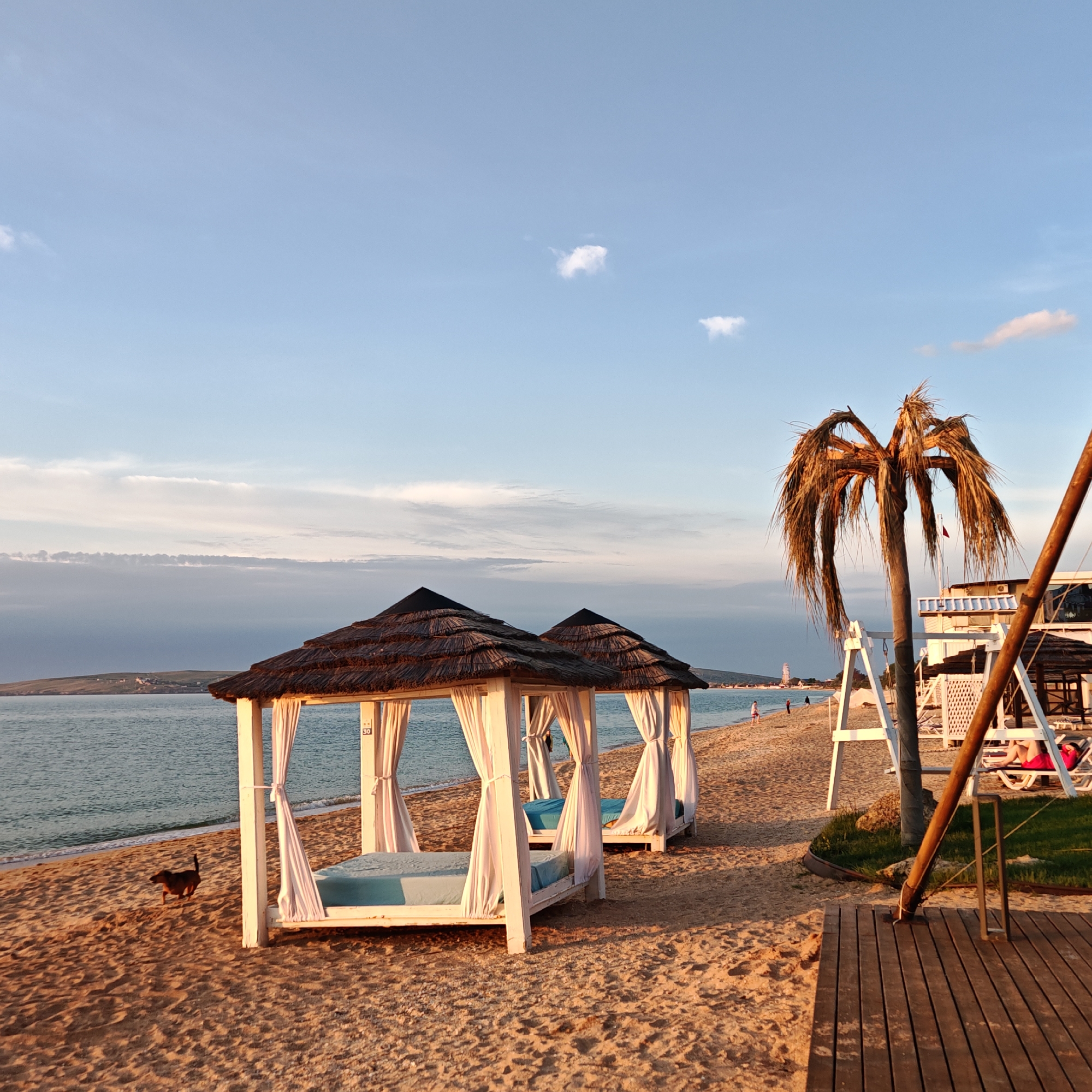 The image shows a beach scene in the city of Unknown, Unknown. Two thatched-roof cabanas with white curtains stand on the sand. Each cabana has a blue cushion inside. A dog is walking on the beach near the cabanas. In the background, there is a body of water and a distant landmass. A dead palm tree stands to the right of the cabanas. There is wooden decking on the right side of the image. People are seen in the background on the beach. A white swing set is also in the background.