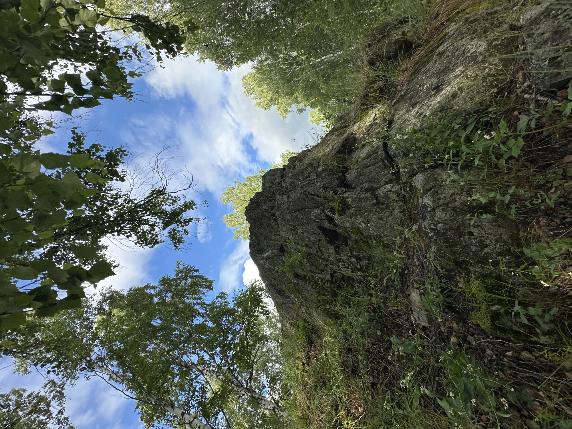 A low-angle medium shot captures a rocky outcrop covered in moss and grass, set against a bright blue sky with scattered white clouds. Lush green trees, including birch trees with distinctive white bark, frame the scene from above and the right. The sunlight casts shadows on the rock face, highlighting its textured surface. Several small white wildflowers grow amongst the grass and at the base of the rock. The environment appears to be a natural, outdoor setting.