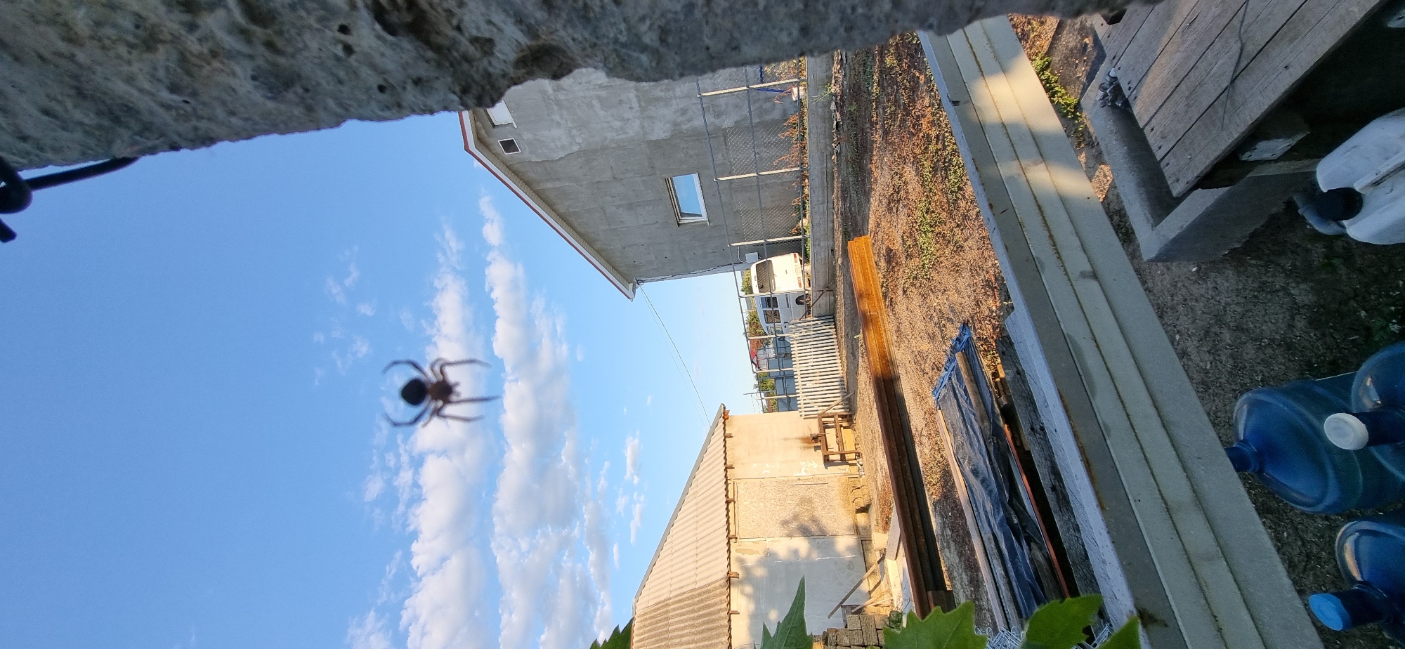 A low-angle, medium shot shows a blurry spider in the foreground suspended against a bright blue sky with scattered white clouds. The spider is dark with its legs spread. In the middle ground, two residential buildings are visible. The building on the left has a grey, corrugated roof and is stucco-walled. The building on the right is larger, also stucco-walled, with a red-tiled roof and a white-framed window. A white picket fence runs between the two properties. A white van is parked behind the fence. In the foreground, stacked construction materials including rusty metal beams and black plastic sheeting are laid on the ground. Several large blue water jugs with white and blue caps are clustered on the ground. A stone or concrete structure is partially visible on the right side of the frame. The scene appears to be an outdoor yard or construction site in a residential area, likely in Blizhnee, Ukraine. The lighting suggests it is daytime, possibly late afternoon due to the warm sunlight.