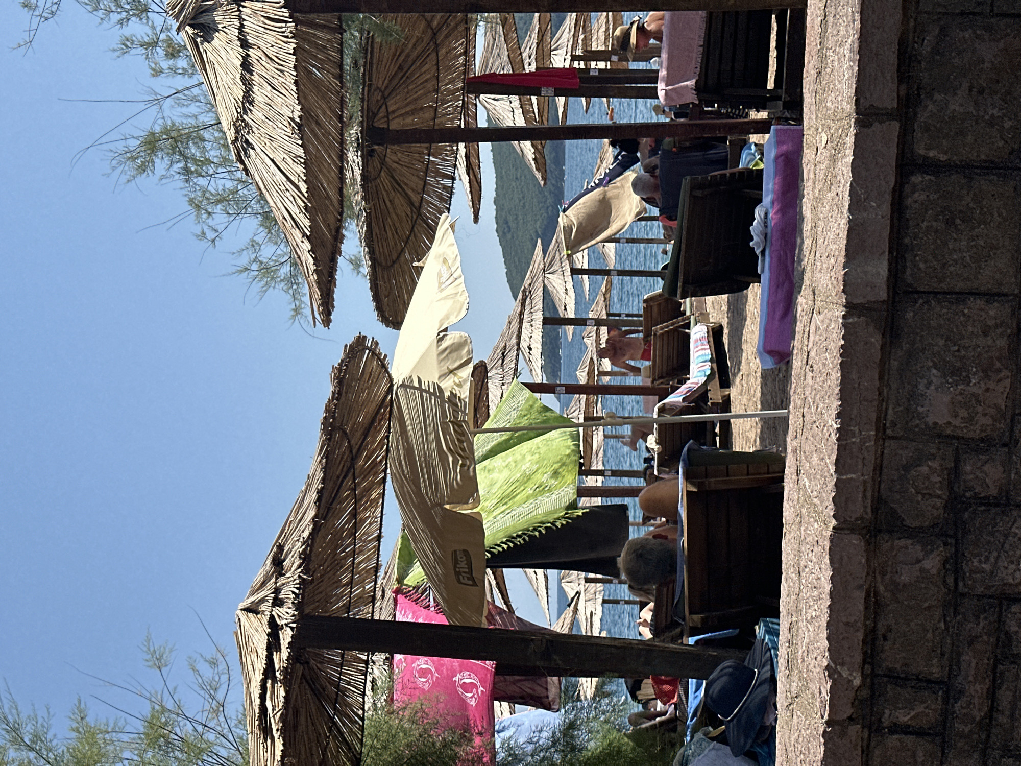 The image depicts a sunny day at a beach in Budva, Montenegro, likely Mogren Beach or a similar coastal resort area known for its thatched umbrellas. In the foreground, a low stone wall borders a sandy or pebbled area. Beyond the wall, numerous straw-covered umbrellas provide shade for beachgoers. Some umbrellas are open, while others are stacked or in disrepair. Beach chairs, some occupied by people lounging, are arranged under the umbrellas. Towels of various colors, including pink and green, are draped over poles or laid out on chairs. In the background, the clear blue sea stretches to the horizon, with a forested hill visible in the distance. People are visible in the water and on the beach, some swimming or walking. The overall atmosphere is one of a relaxed beach vacation.
