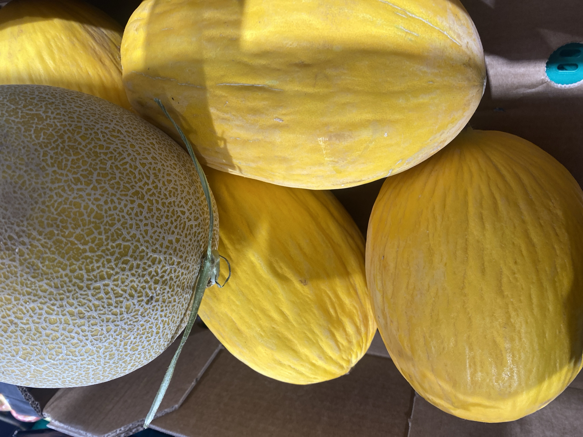 The image shows a close-up, overhead view of several cantaloupe melons stacked in a cardboard box, likely at a market stall in Bel Air, Spain. The melons vary in size and stage of ripeness. One cantaloupe at the top has a distinct netting pattern and a light green vine attached. Below it, three other smooth-skinned yellow melons are visible, one to the left and two to the right, partially obscuring each other. The lighting suggests it is daytime, with bright sunlight casting shadows. The background consists of the cardboard box and a hint of other items in the market. There are no people or animals present in the image.