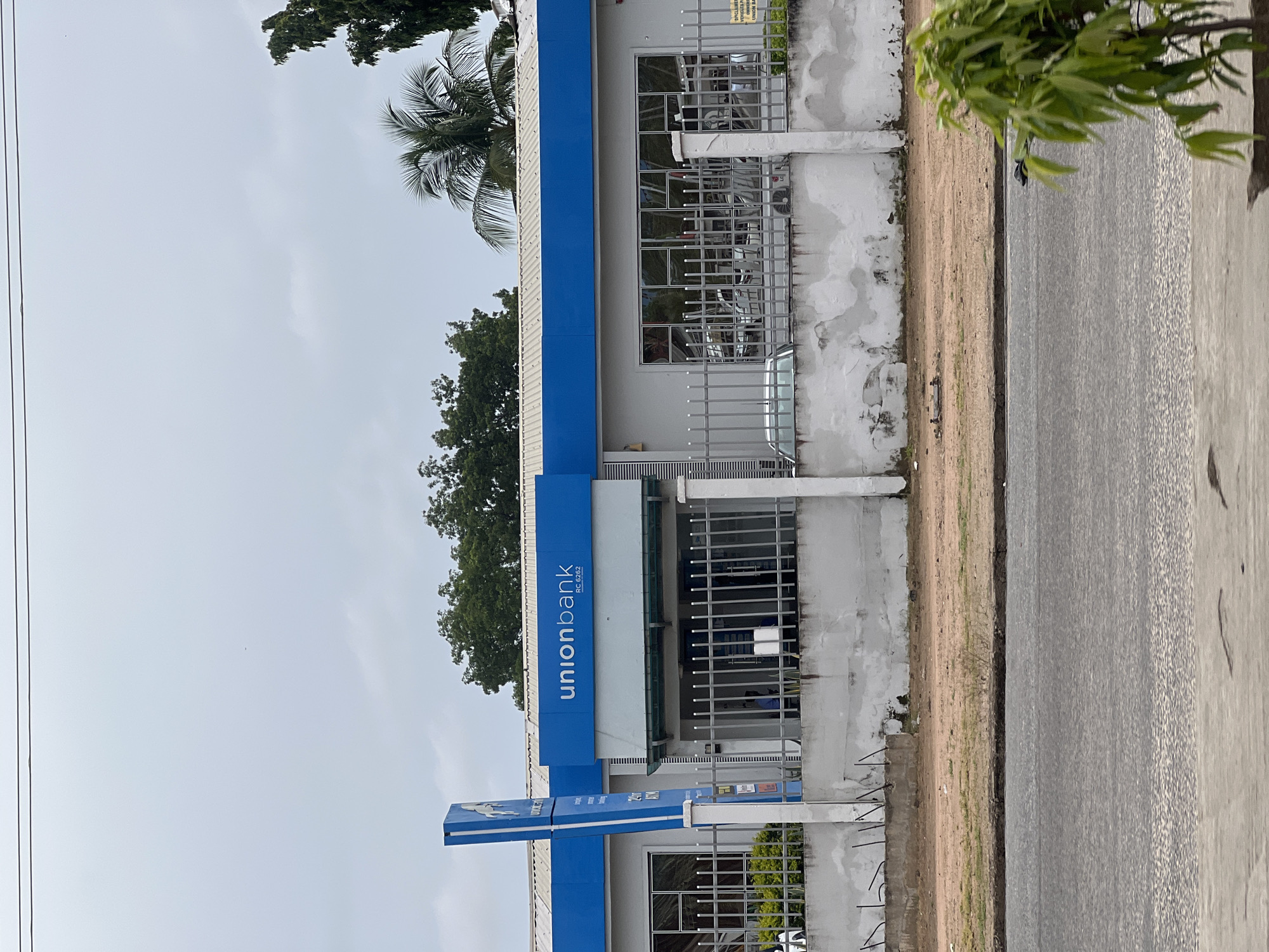 This is a photograph of the Union Bank branch located in Jalingo, Nigeria, taken from across a road. The bank building has a light gray facade with a prominent blue band across the top. The "unionbank" logo is clearly visible in white text on a blue background above the entrance. A blue vertical sign with the Union Bank logo is also present to the left of the entrance. The building features large windows, some of which are barred, and a metal fence in front of the bank. Cars are visible through the windows. The foreground shows a road and a sidewalk, with a small green tree branch partially obscuring the view on the right side. The sky is overcast and gray.