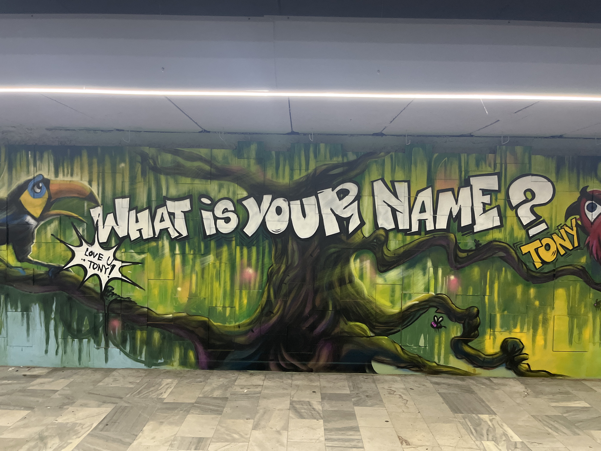 The image displays a vibrant graffiti mural covering an entire wall in what appears to be an underground pedestrian tunnel or passage, possibly in Sofia, Bulgaria. The mural depicts a stylized jungle or forest scene with a dominant, large gnarled tree featuring thick, dark brown roots and branches that intertwine across a background of varied green and yellow hues, suggesting dense foliage.
On the left side of the mural, a cartoon-style toucan with a prominent orange, blue, and black beak is perched. Below it, a white starburst speech bubble contains the text "LOVE U TONY!". To the right, part of a red, fluffy bird with a large eye is visible, next to which the name "TONY" is written in yellow letters with a red outline. Several small purple flies or bees are also scattered on the tree branches.
The central element of the mural is the question "WHAT IS YOUR NAME?", written in bold, white, bubble letters with black outlines, directly engaging the viewer.
The floor beneath the mural is composed of large, light-colored rectangular tiles or paving stones. Above, a dark concrete ceiling features a prominent, long, and narrow fluorescent light fixture running horizontally across, casting bright illumination on the artwork. The artificial lighting suggests an indoor or underground setting, and the overall impression is one of playful and engaging street art brightening a public space.