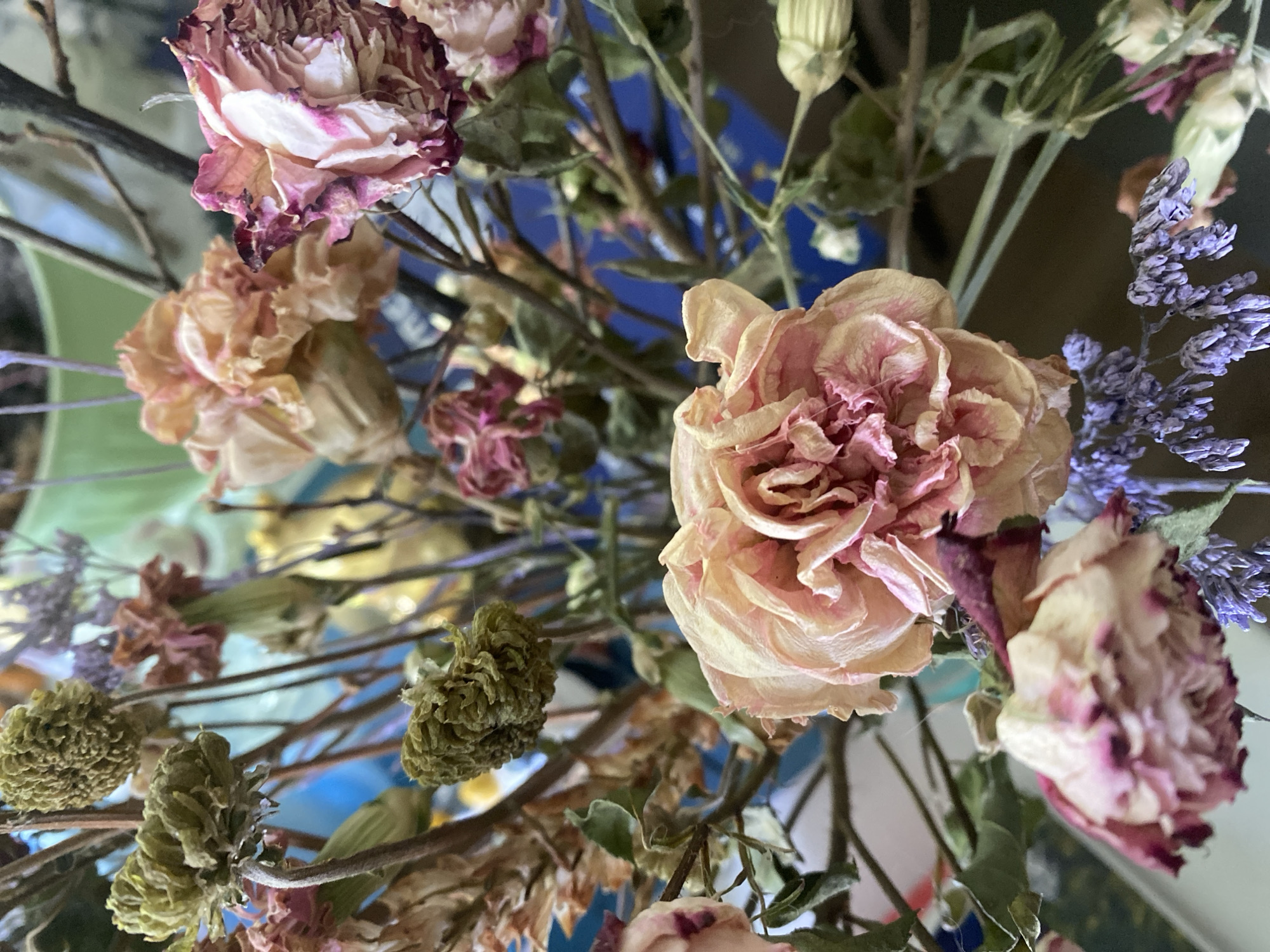 The image shows a close-up of a bouquet of dried flowers. The flowers are various shades of pink, purple, and green. Some of the flowers appear to be roses or carnations. The background is blurred and indistinct, but hints of blue, green, and white are visible. The stems and branches of the flowers are visible. The overall impression is of a still life with a vintage or antique feel.
The location Шебунино, Russia is irrelevant, as it is not detectable from the image.