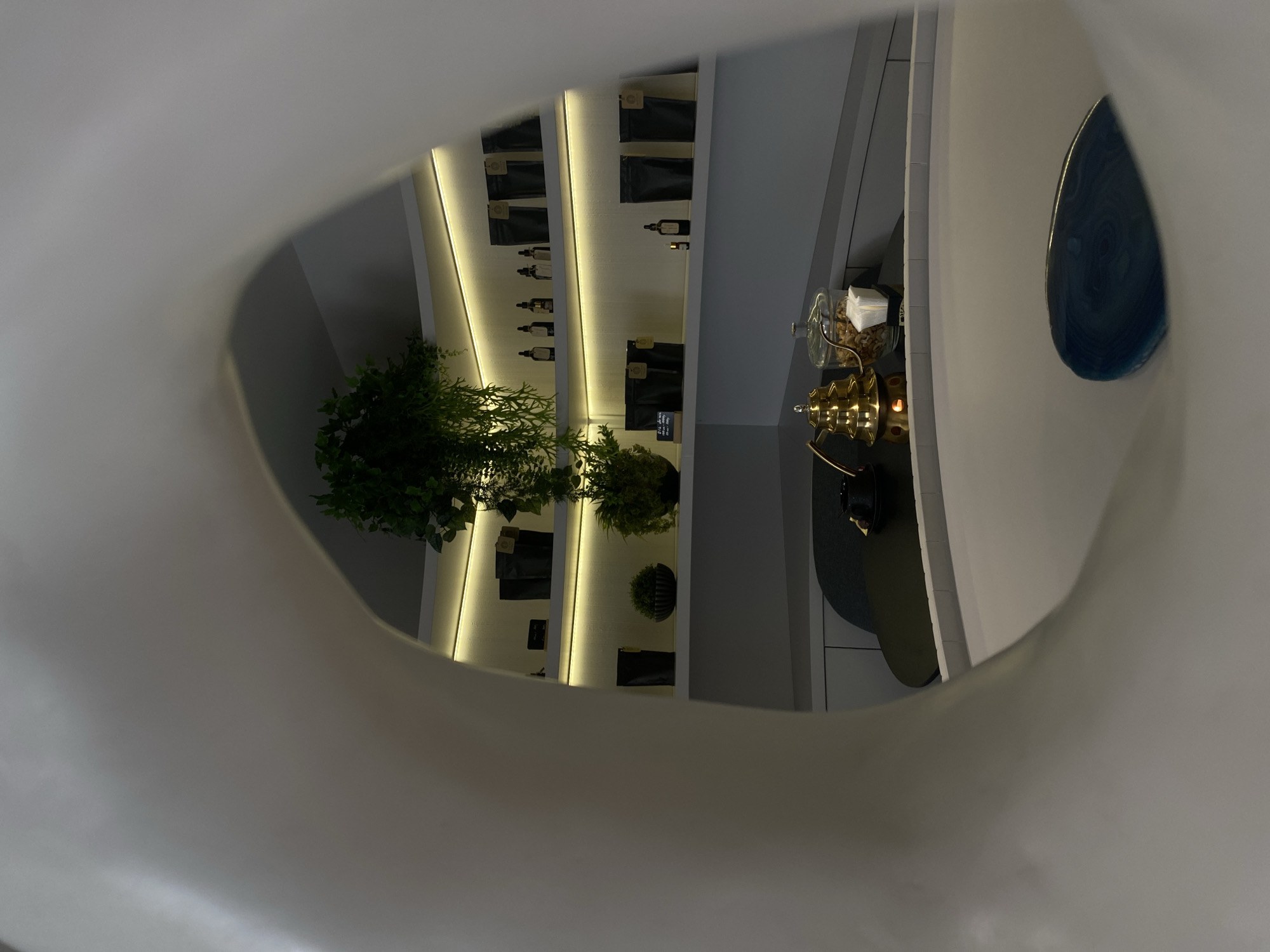 The image shows a view through a white, possibly ceramic or plaster, structure, looking into a well-lit modern interior. The structure frames the view in an abstract, organic shape.
Inside, there's a wall with illuminated shelves displaying small bottles and black packages. Green potted plants are placed along the shelves, adding a natural element to the space. To the right, there is a countertop or bar area with a decorative blue object mounted on the wall above it. A glass jar with food, a gold kettle, and a black bag are on the counter.
The environment appears to be a modern cafe or boutique. There's no explicit information in the image confirming this is in Votkinsk, Russia.