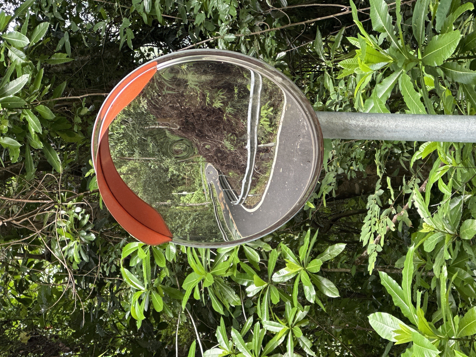 A convex traffic mirror is mounted on a silver pole amidst lush green foliage in Kathu, Thailand. The mirror reflects a winding asphalt road with white markings, bordered by a silver metal guardrail. The road curves sharply to the left, disappearing around a hillside covered in dense vegetation. The mirror itself has an orange frame. The surrounding environment is a dense jungle or forest.