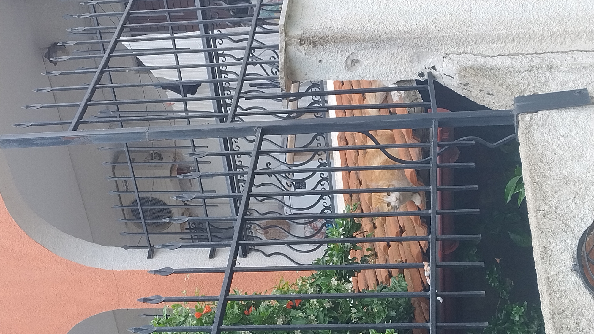 An orange and white cat is sitting on a tiled roof behind a black metal fence. The cat is looking directly at the camera. In the background, there is a building with arched windows and an air conditioning unit. There is also some greenery on the left side of the image. The scene appears to be an exterior shot of a residential area in Νέα Κερασιά, Greece.